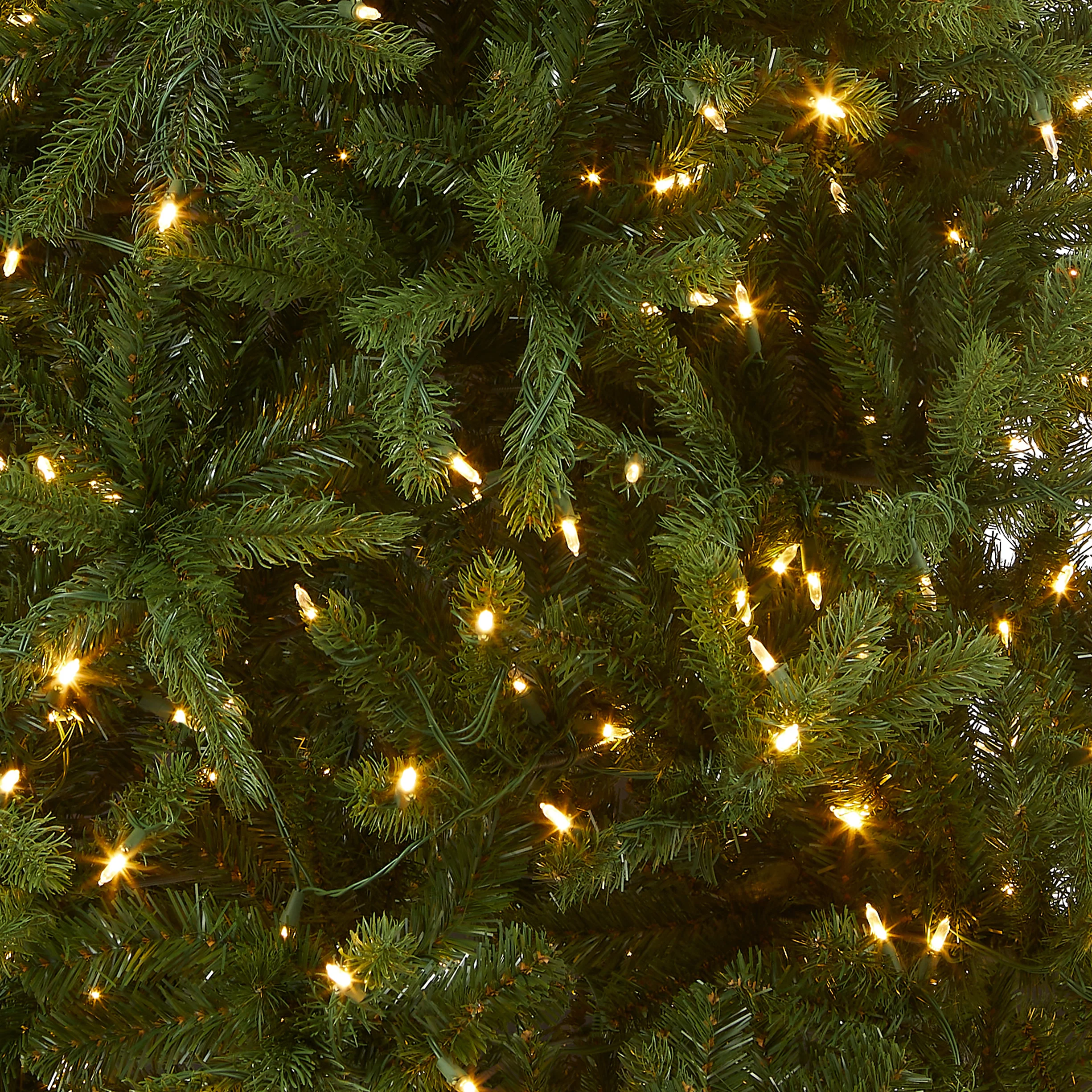8 ft. Pre-Lit Newberry Spruce Tree with PowerConnect Dual Color LED Lights, Plug-In - Image 3