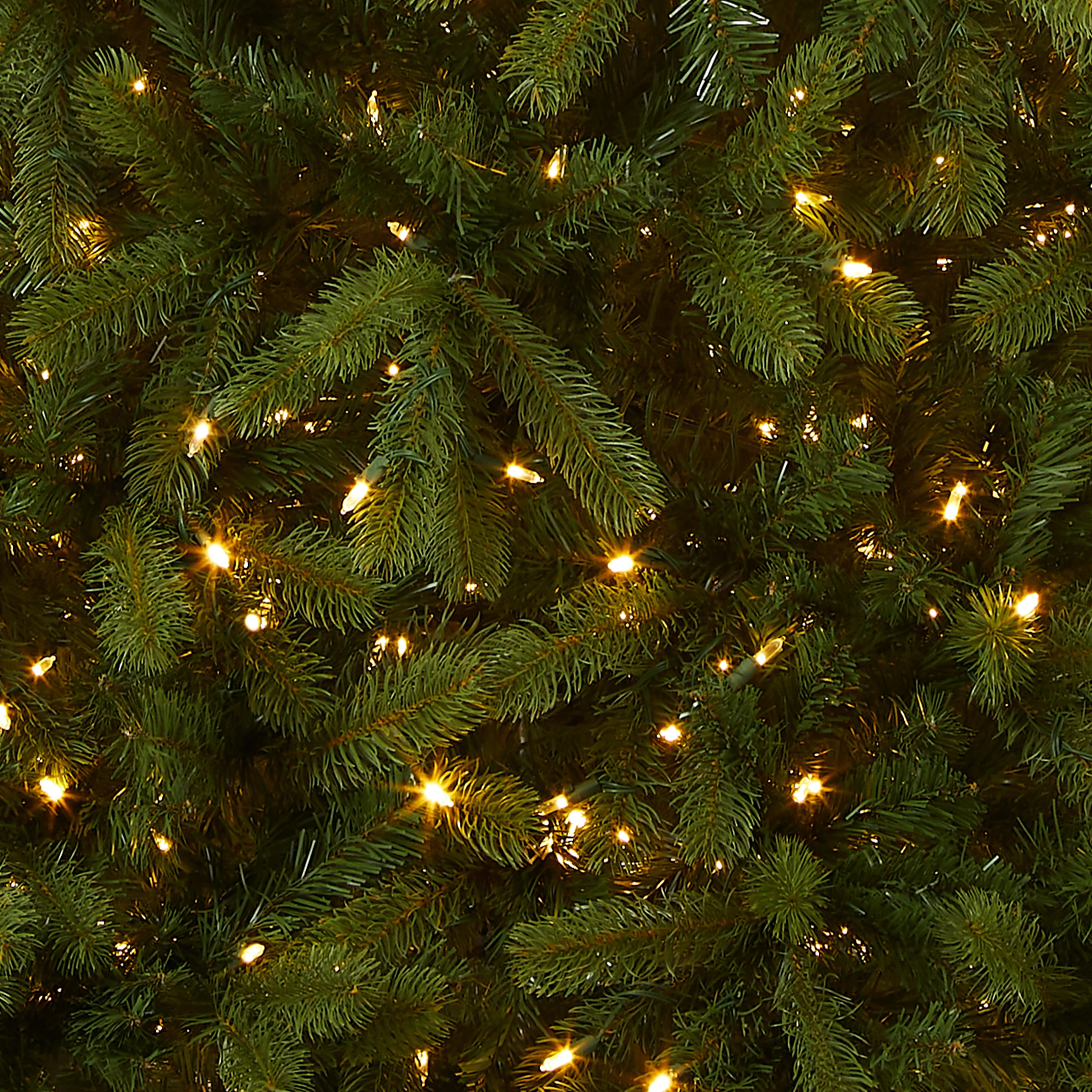 9 ft. Pre-Lit Bayberry Spruce Tree with PowerConnect Dual Color LED Lights - Image 4