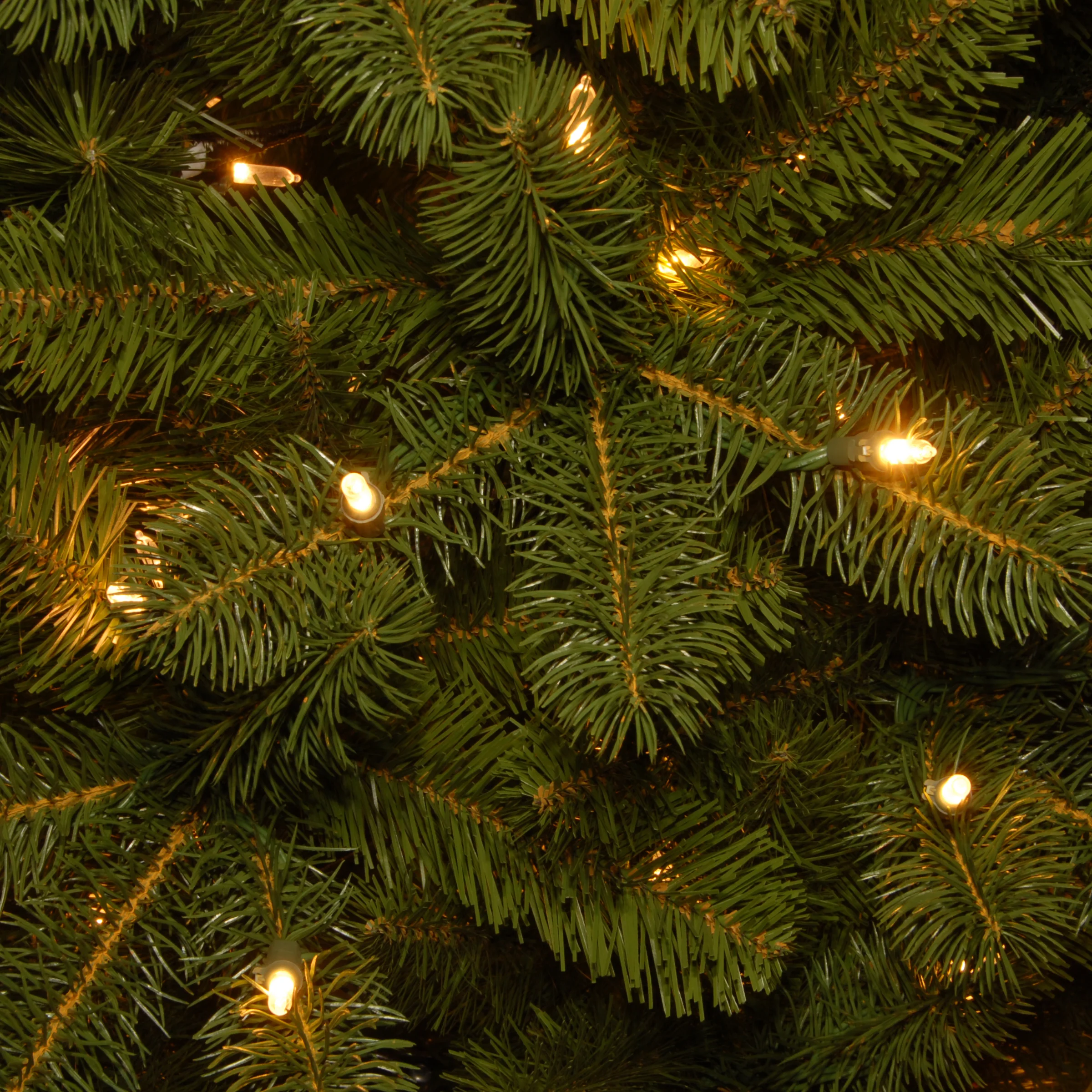 9 ft. Pre-Lit Downswept Douglas Fir Tree with Dual Color LED Lights - Image 3