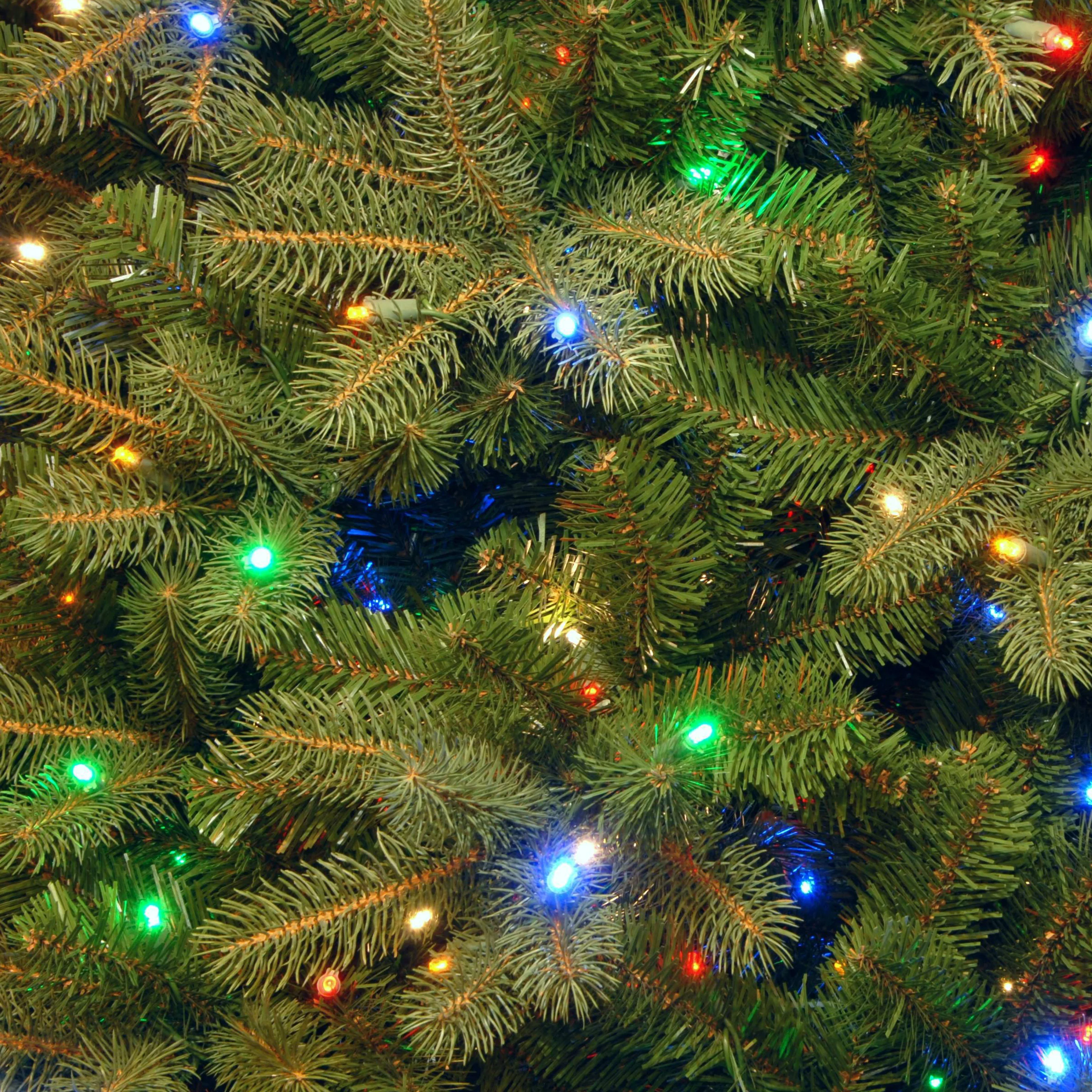 9 ft. Pre-Lit Downswept Douglas Fir Tree with Dual Color LED Lights - Image 4