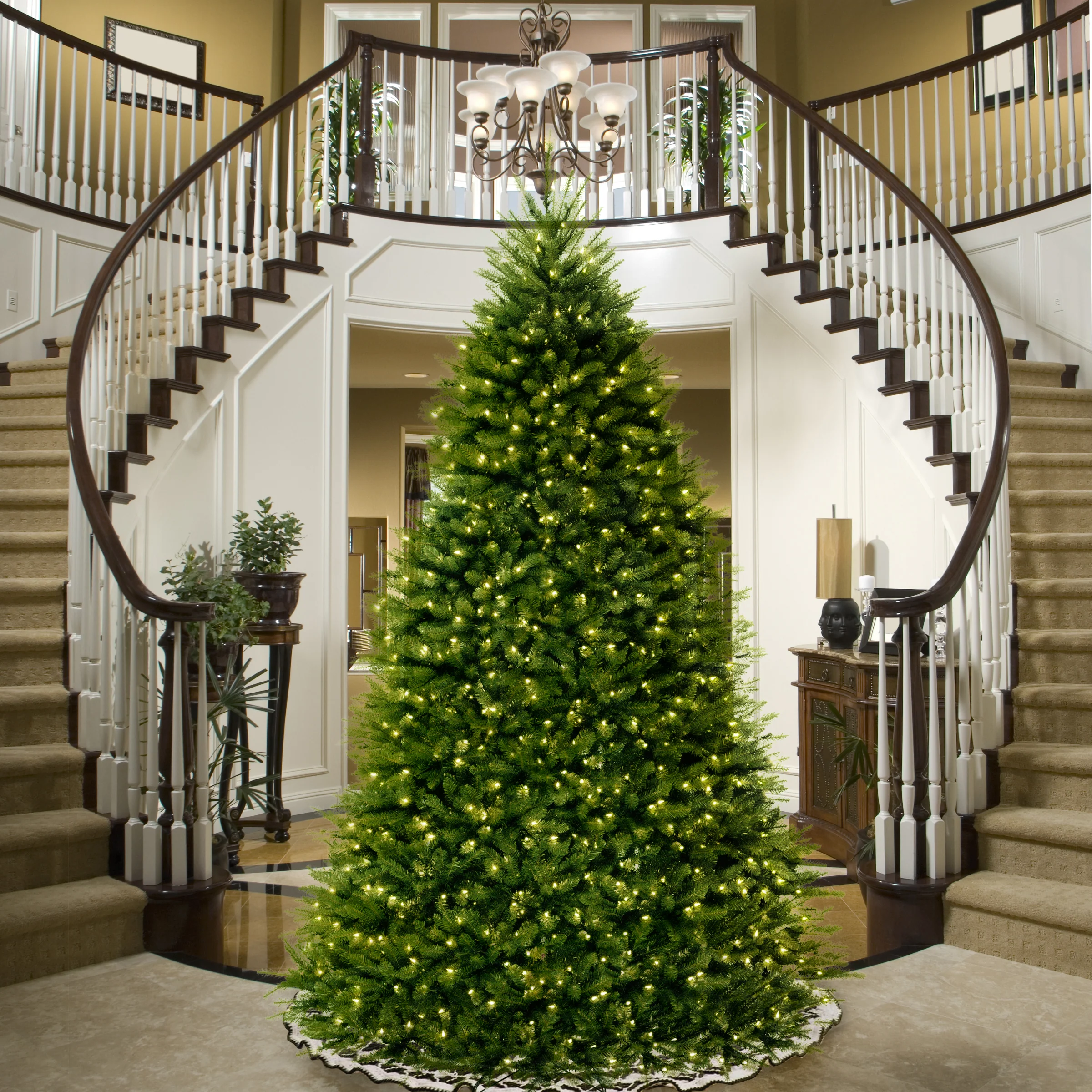 9 ft. Pre-Lit Dunhill Blue Fir Tree with Clear Lights - Image 2