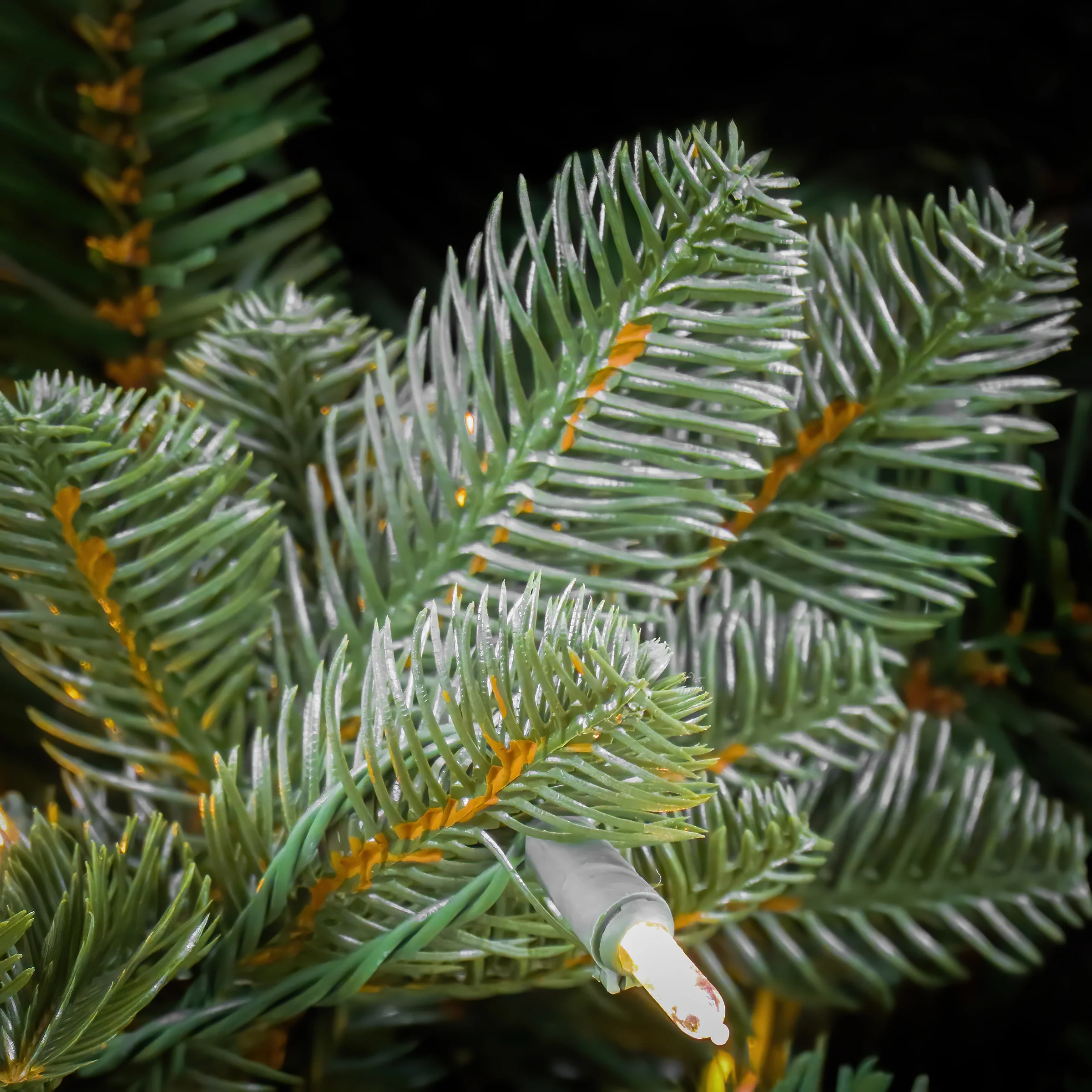 9 ft. Pre-Lit Norway Spruce Tree with Warm White LED Lights - Image 3