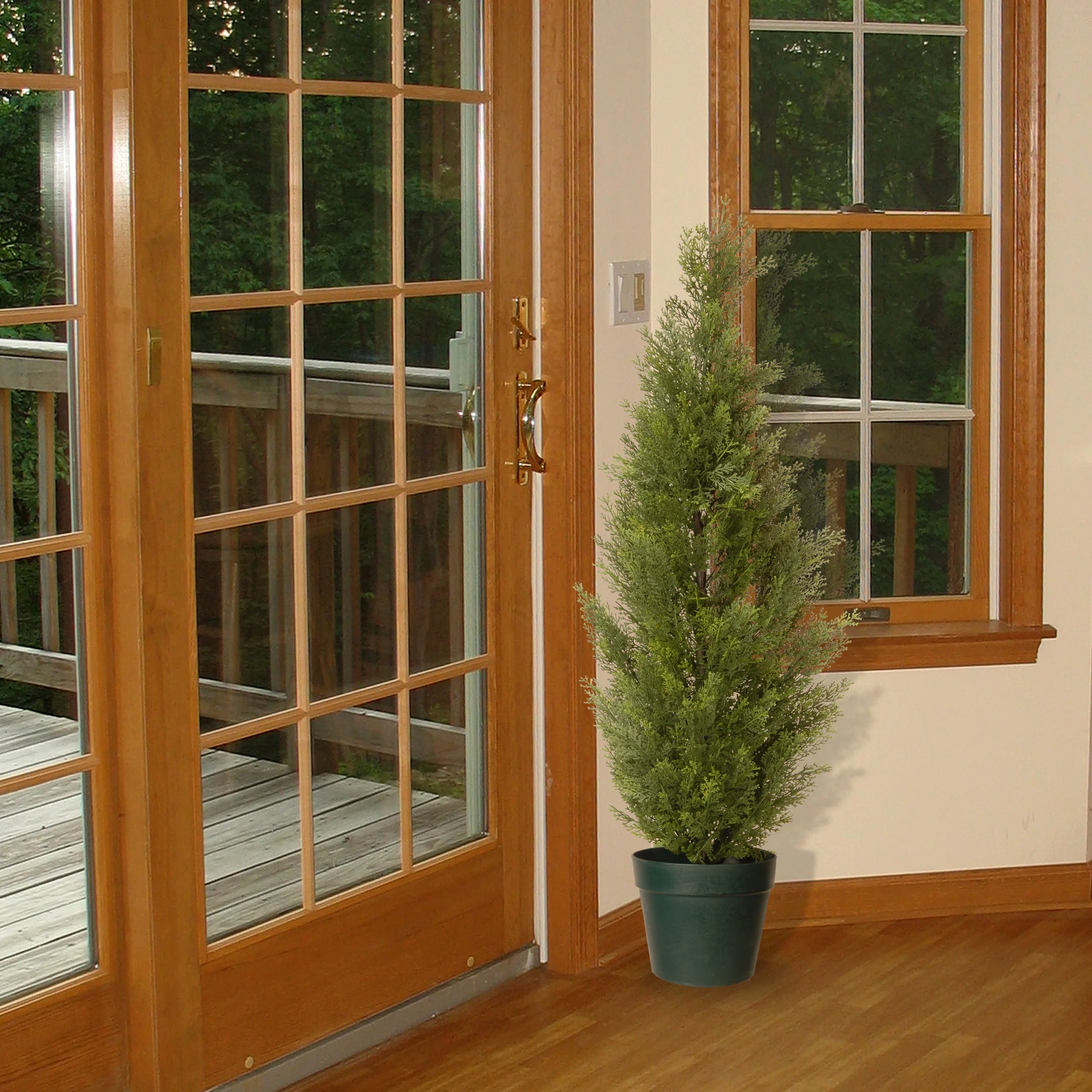 36 in. Arborvitae Topiary Tree in Dark Green Round Growers Pot - Image 2