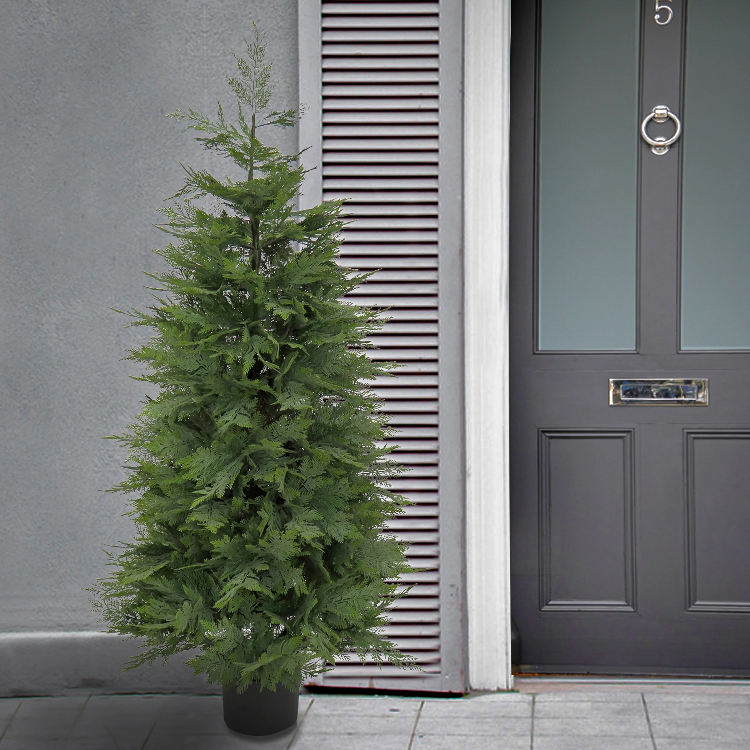 5 ft. Cypress Topiary Tree in in Black Plastic Nursery Pot - Image 2