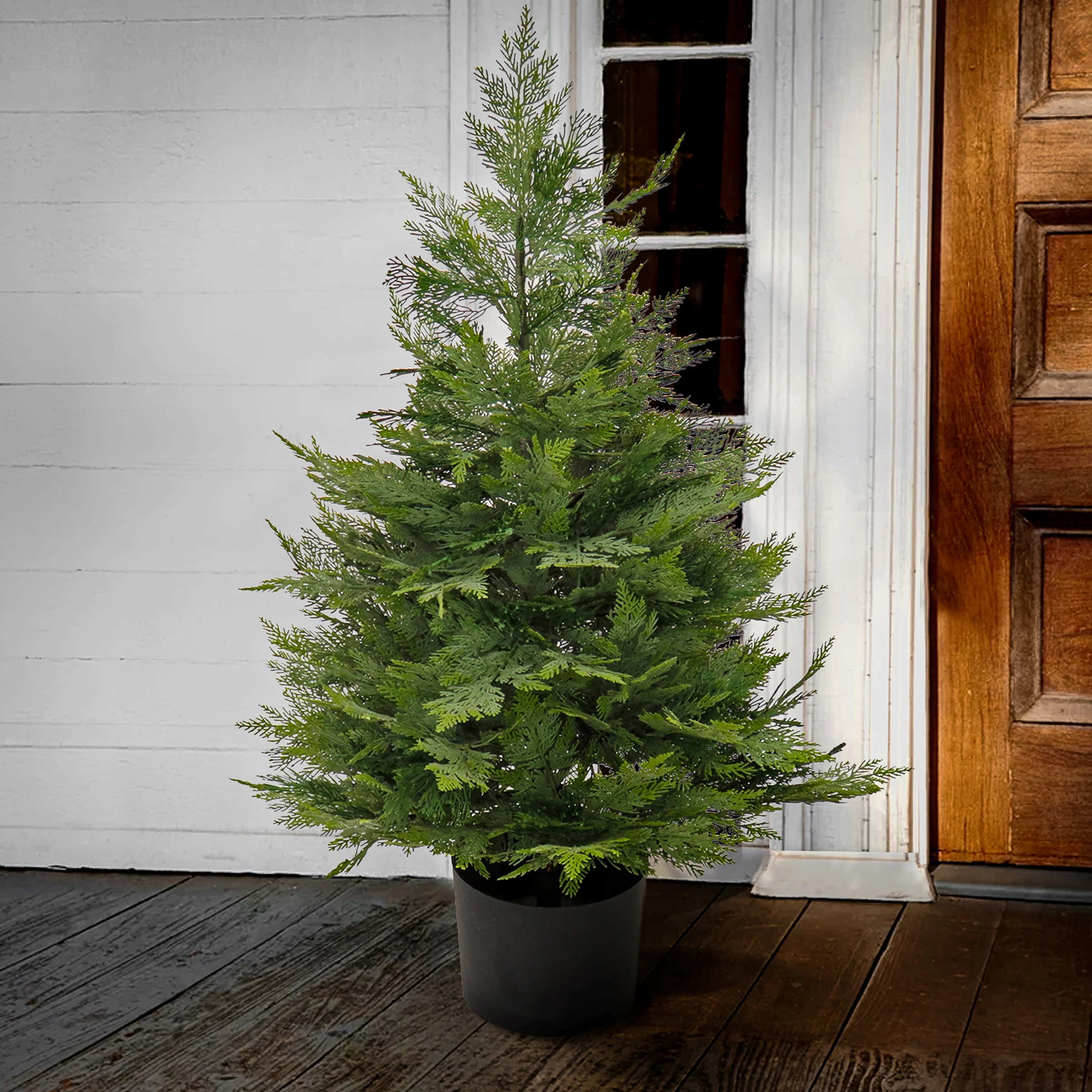 3 ft. Cypress Topiary Tree in in Black Plastic Nursery Pot - Image 2