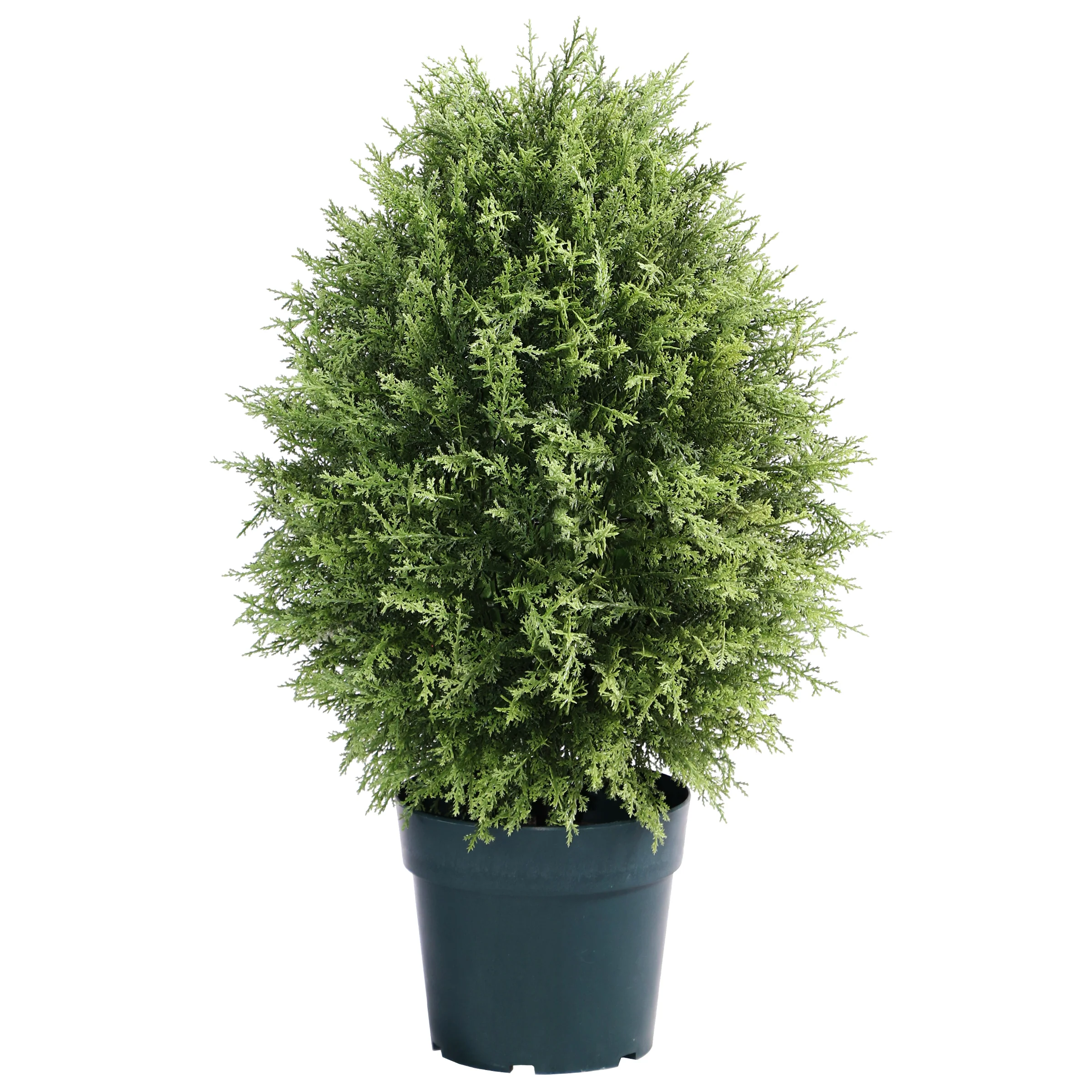 26 in. Cypress Tree in Dark Green Round Growers Pot