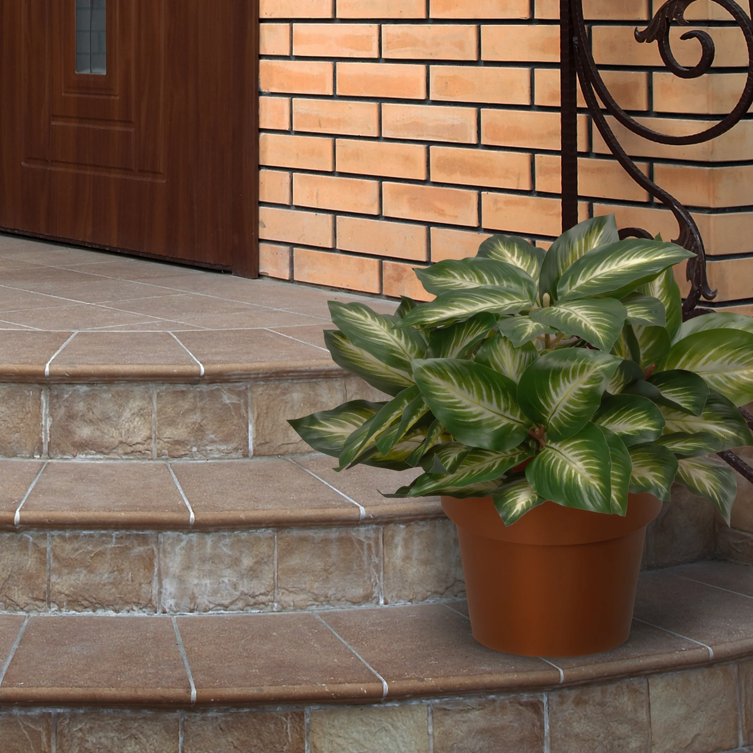 15 in. Hosta Plant in a Brown Round Growers Pot - Image 2