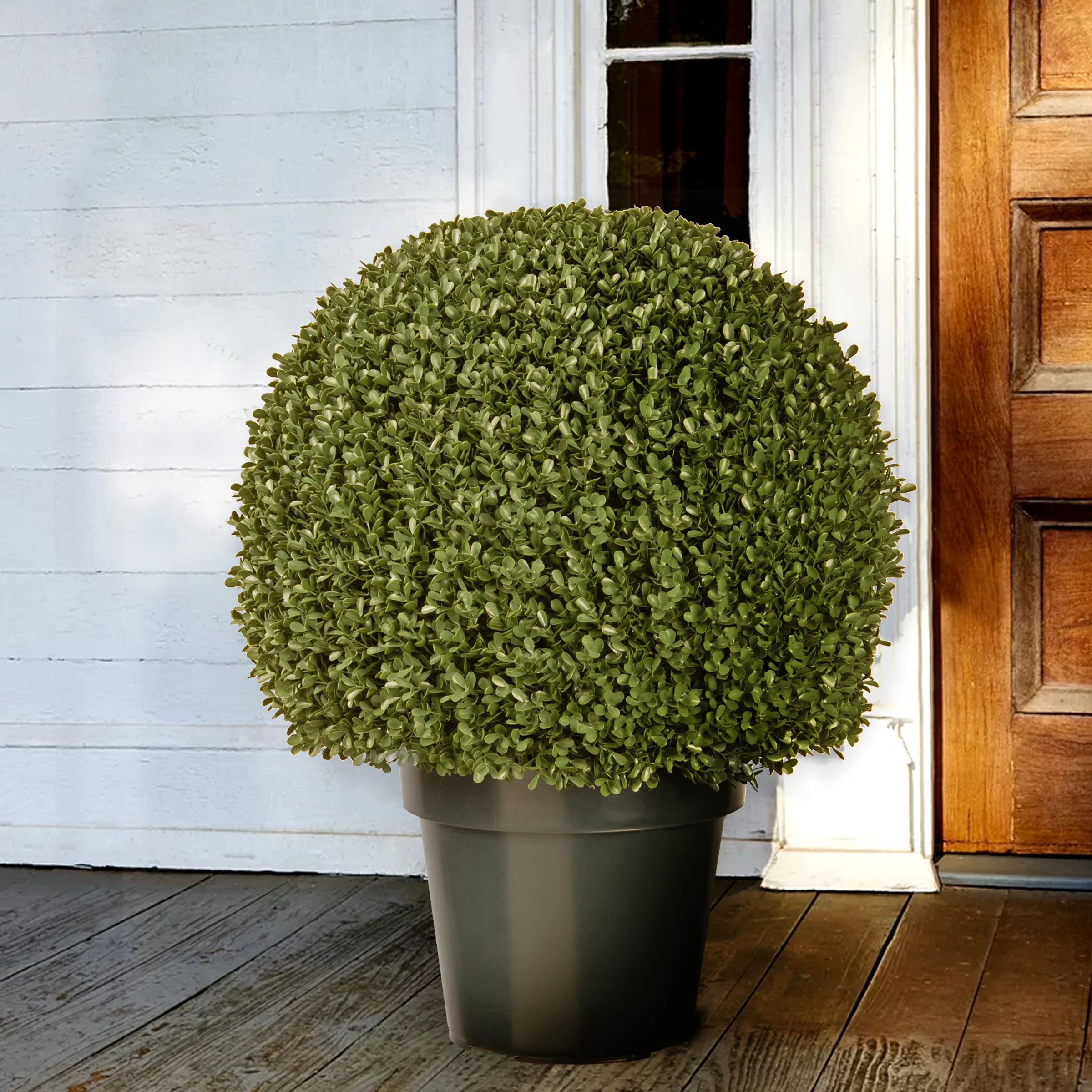 22 in. Mini Boxwood Ball Shaped Topiary Tree in a Round Green Growers Pot - Image 2