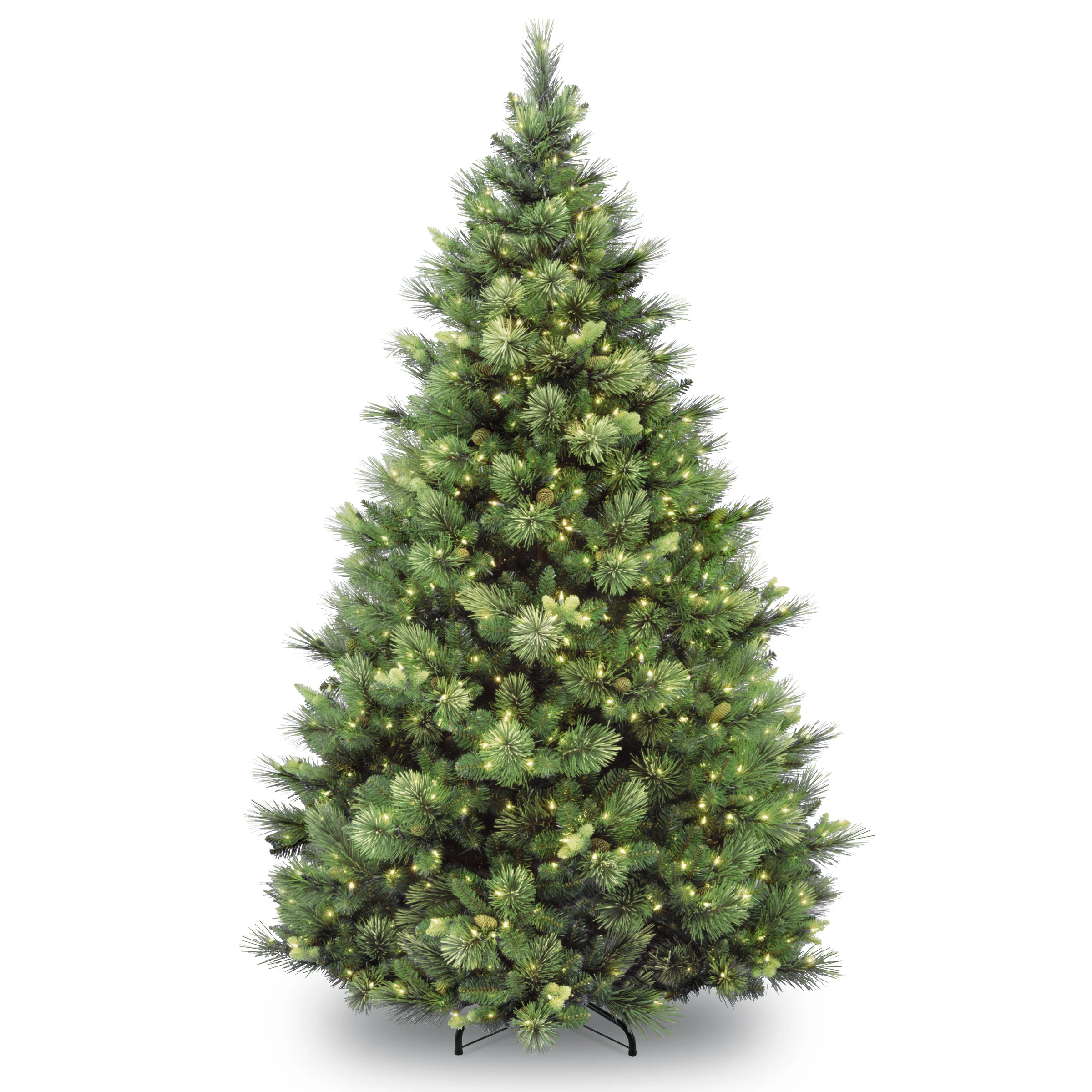 Carolina Pine Trees - Image 4