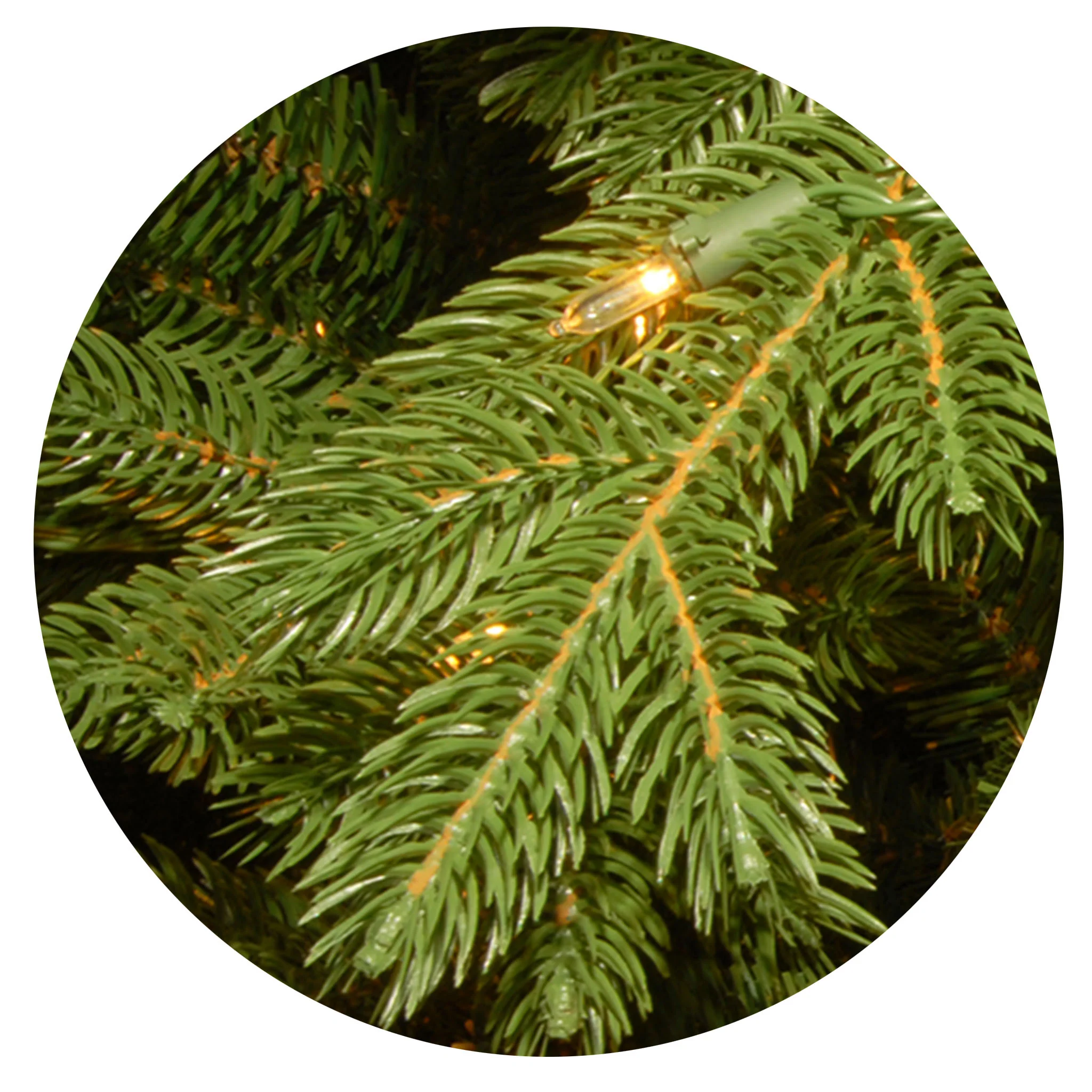 7.5 ft. Pre-Lit Deluxe Downswept Douglas Fir Tree with PowerConnect Dual Color LED Lights, Plug-In - Image 8