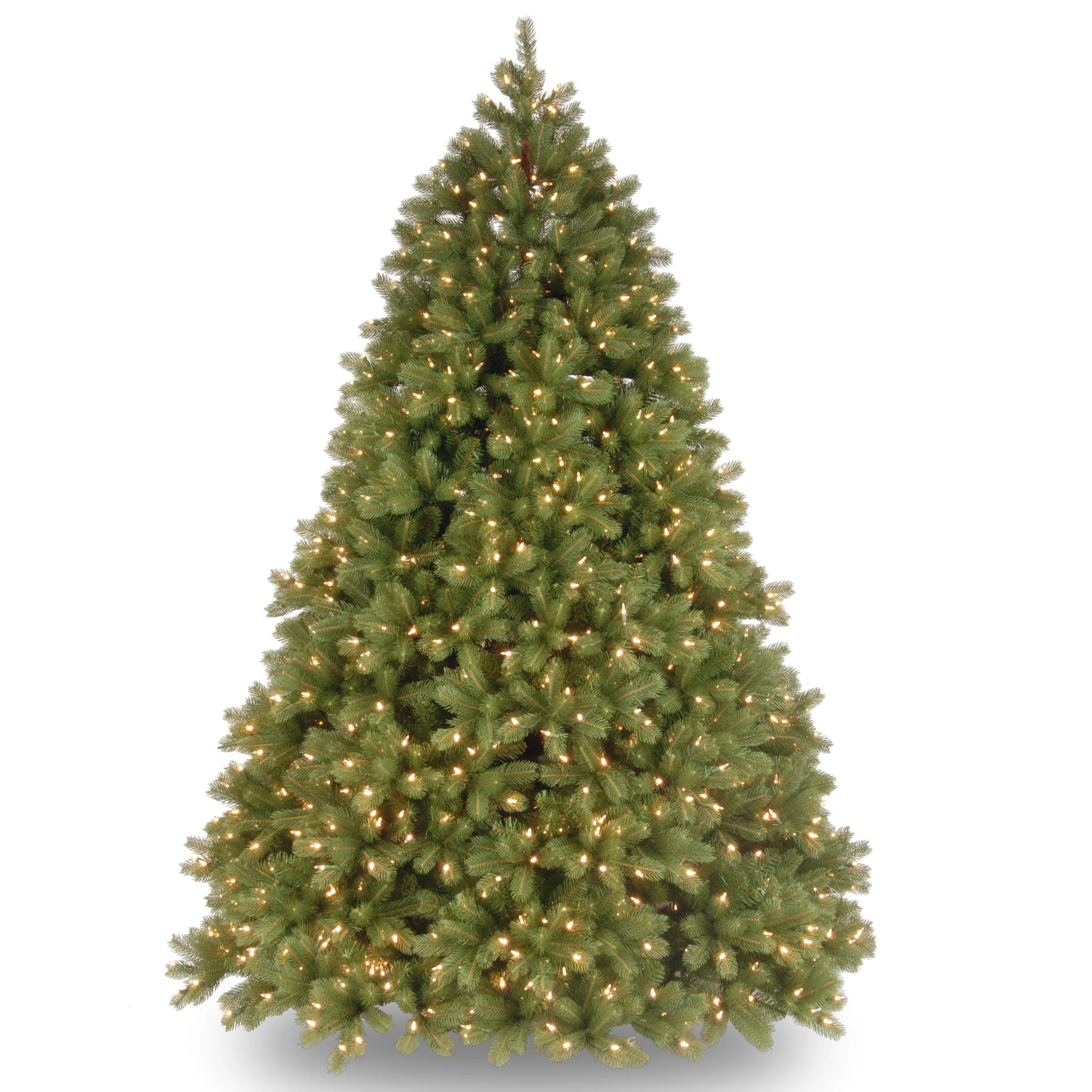 Downswept Douglas Fir Trees - Image 10