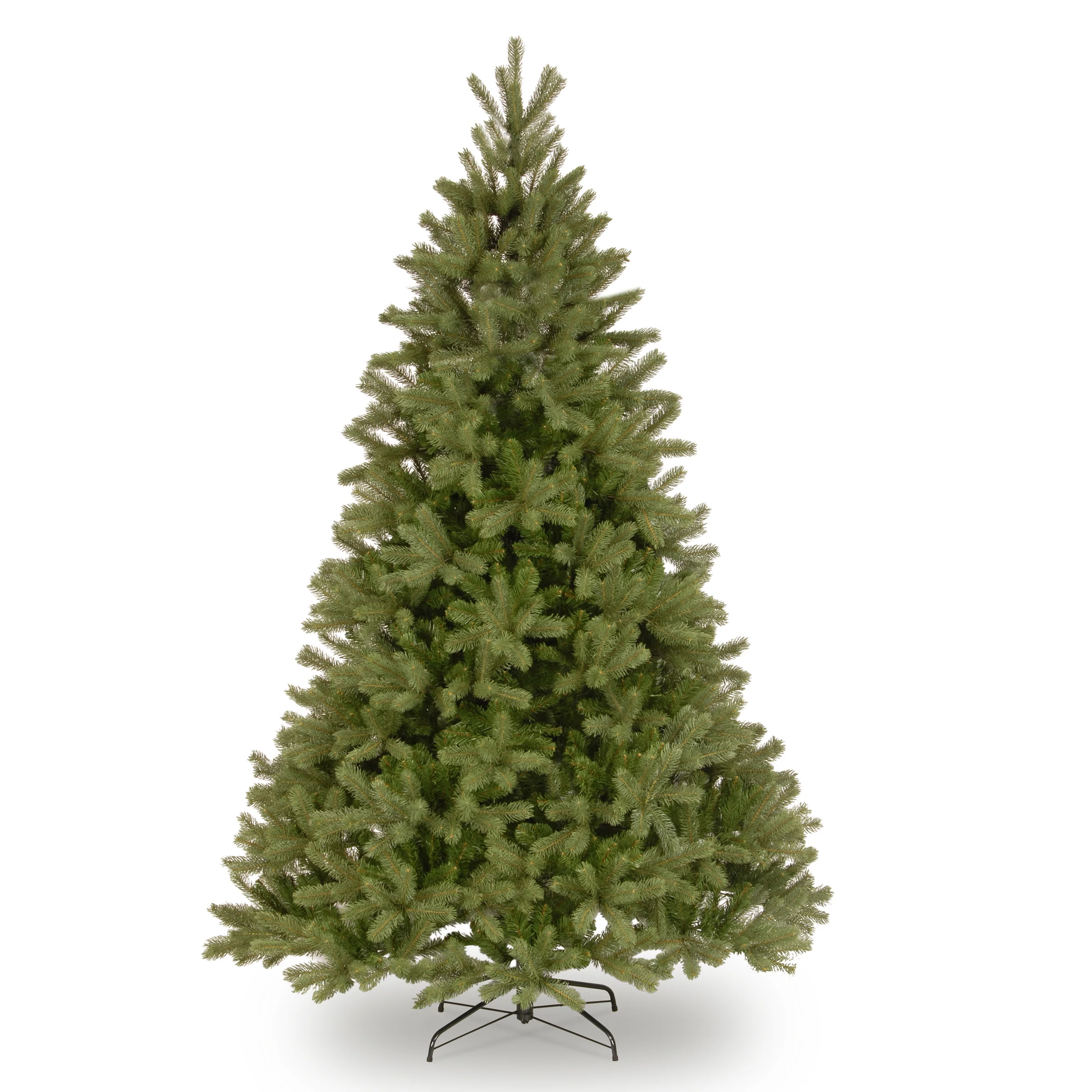 Downswept Douglas Fir Trees - Image 15