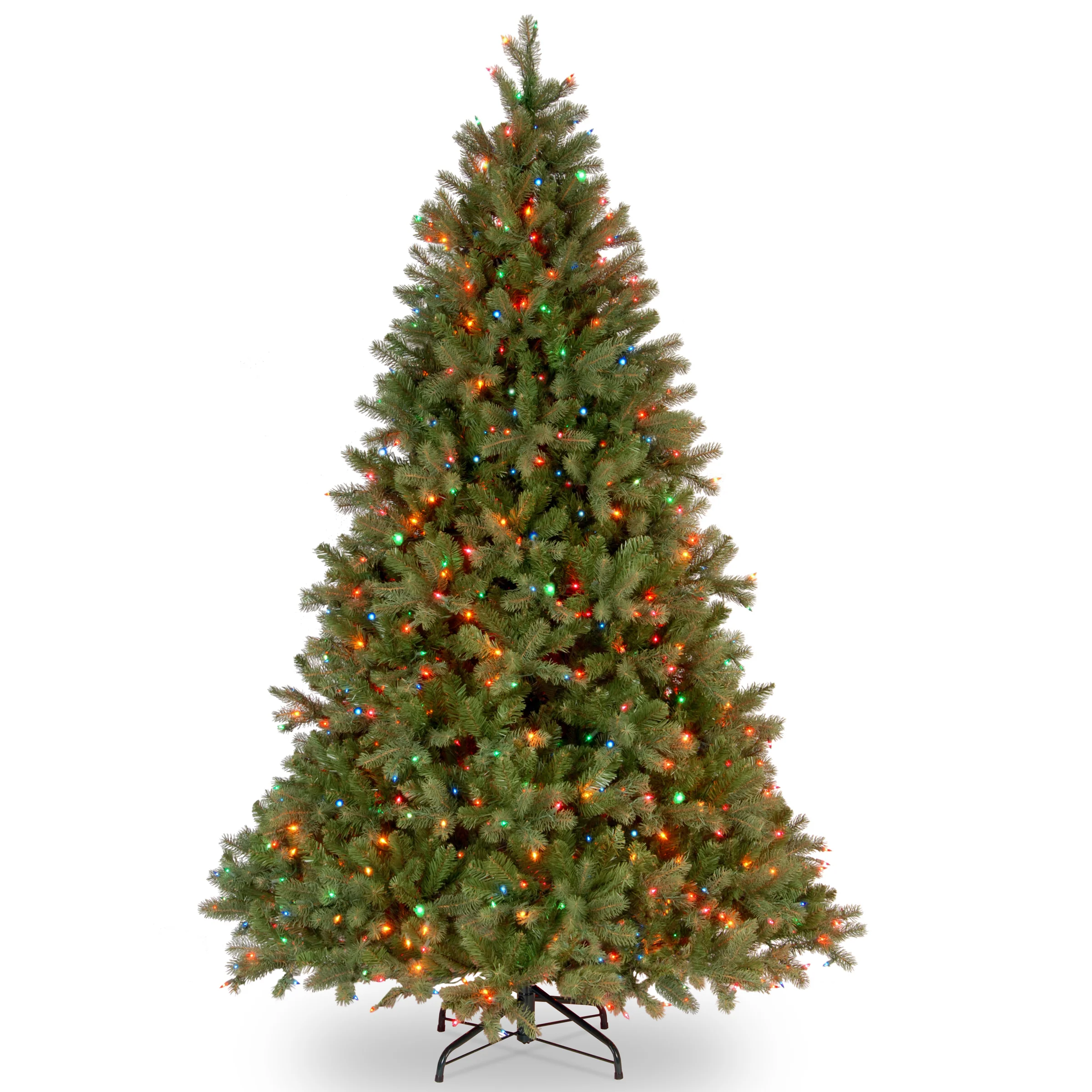 Downswept Douglas Fir Trees - Image 17