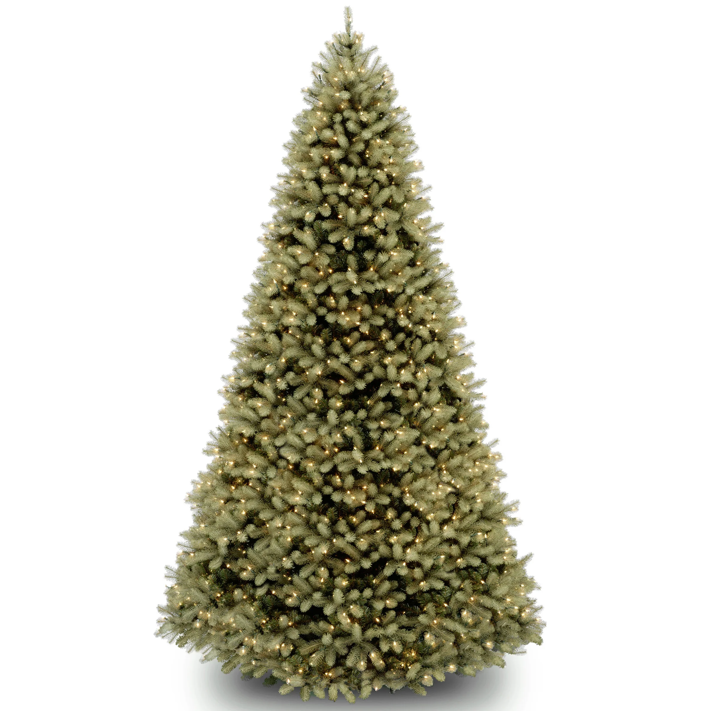 Downswept Douglas Fir Trees - Image 19