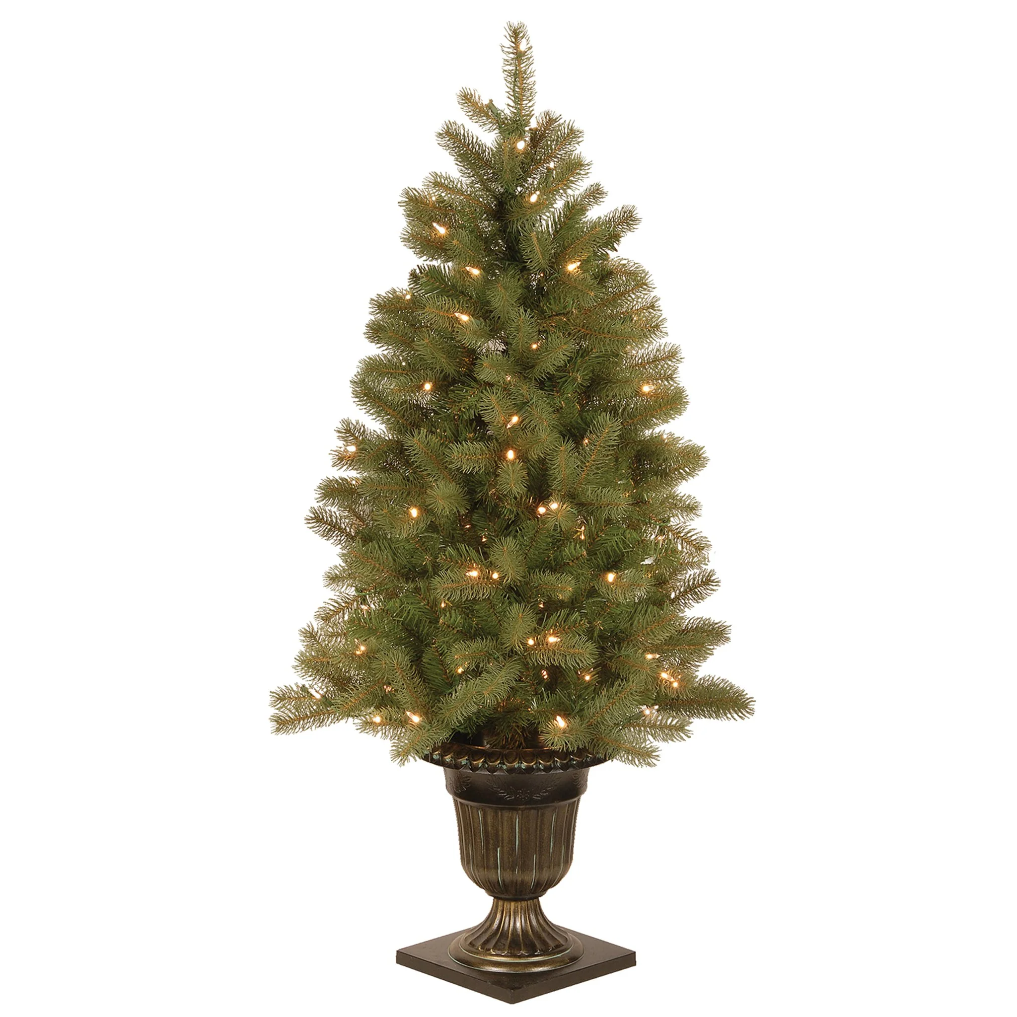 Downswept Douglas Fir Trees - Image 2