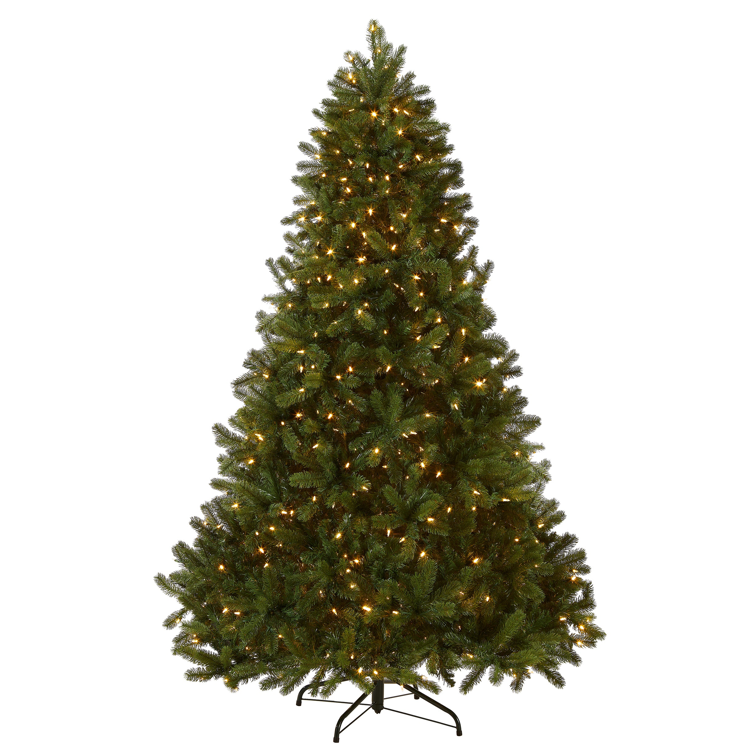 Downswept Douglas Fir Trees - Image 9