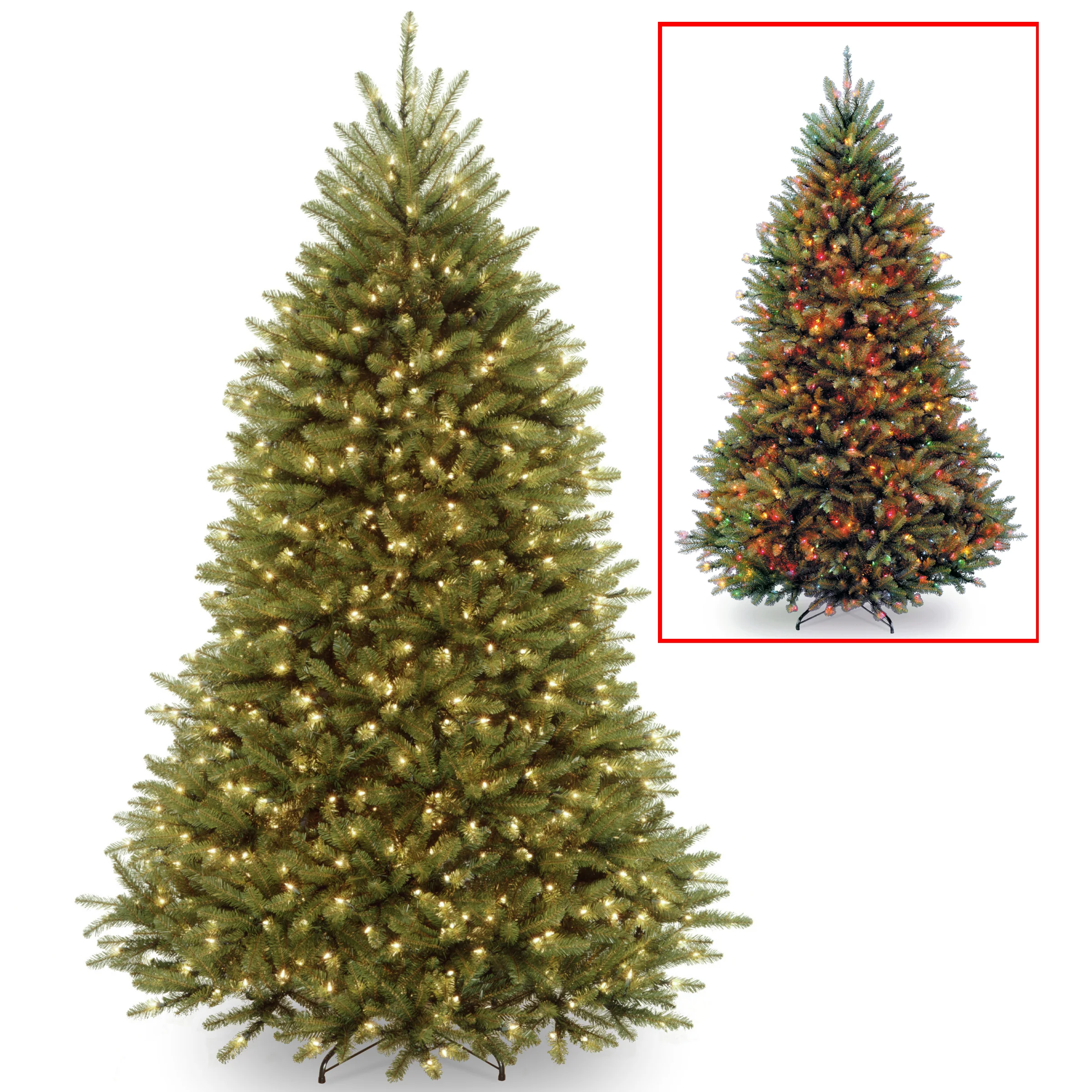 Dunhill Fir Trees - Image 10