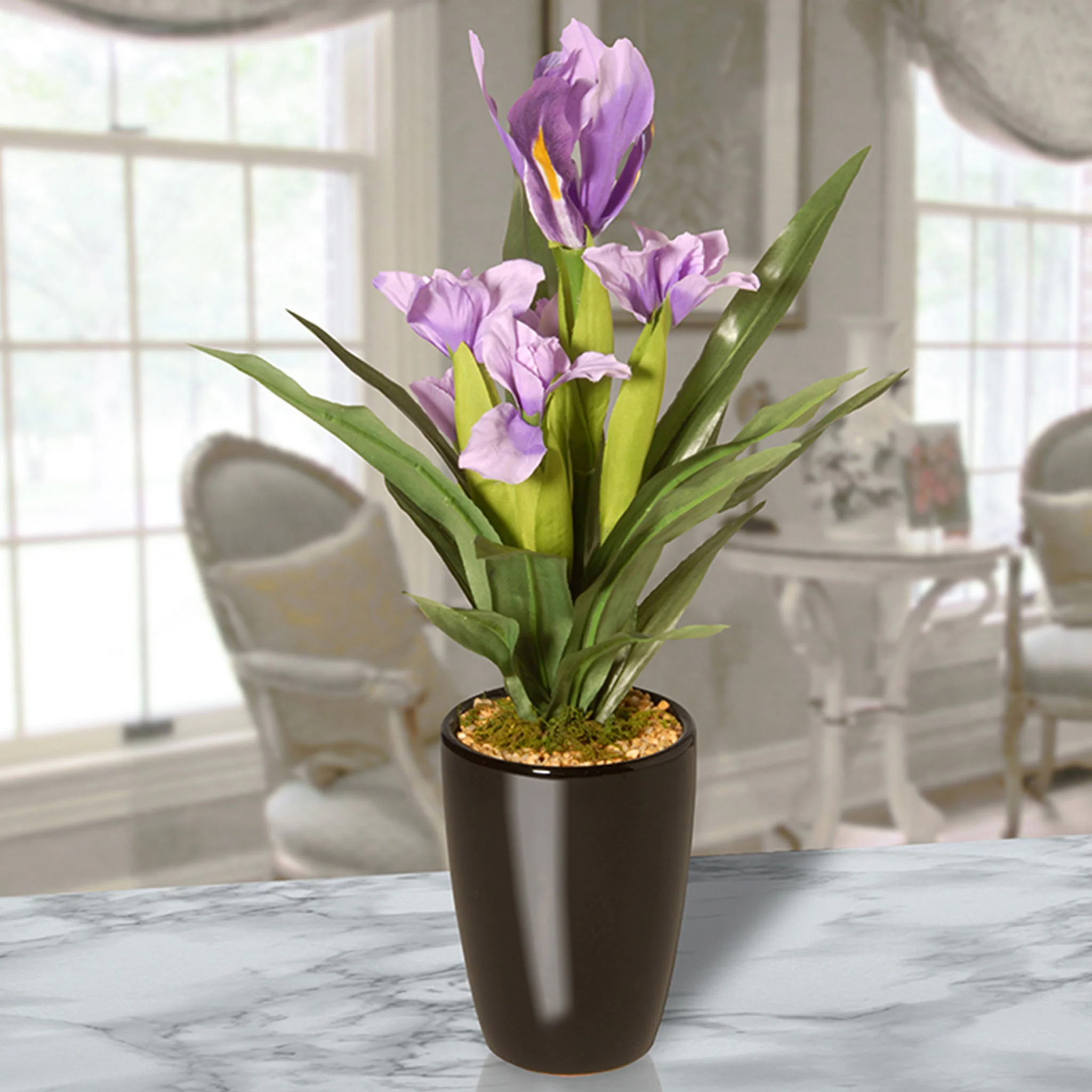 17 in. Iris Plant in Ceramic Pot - Image 2