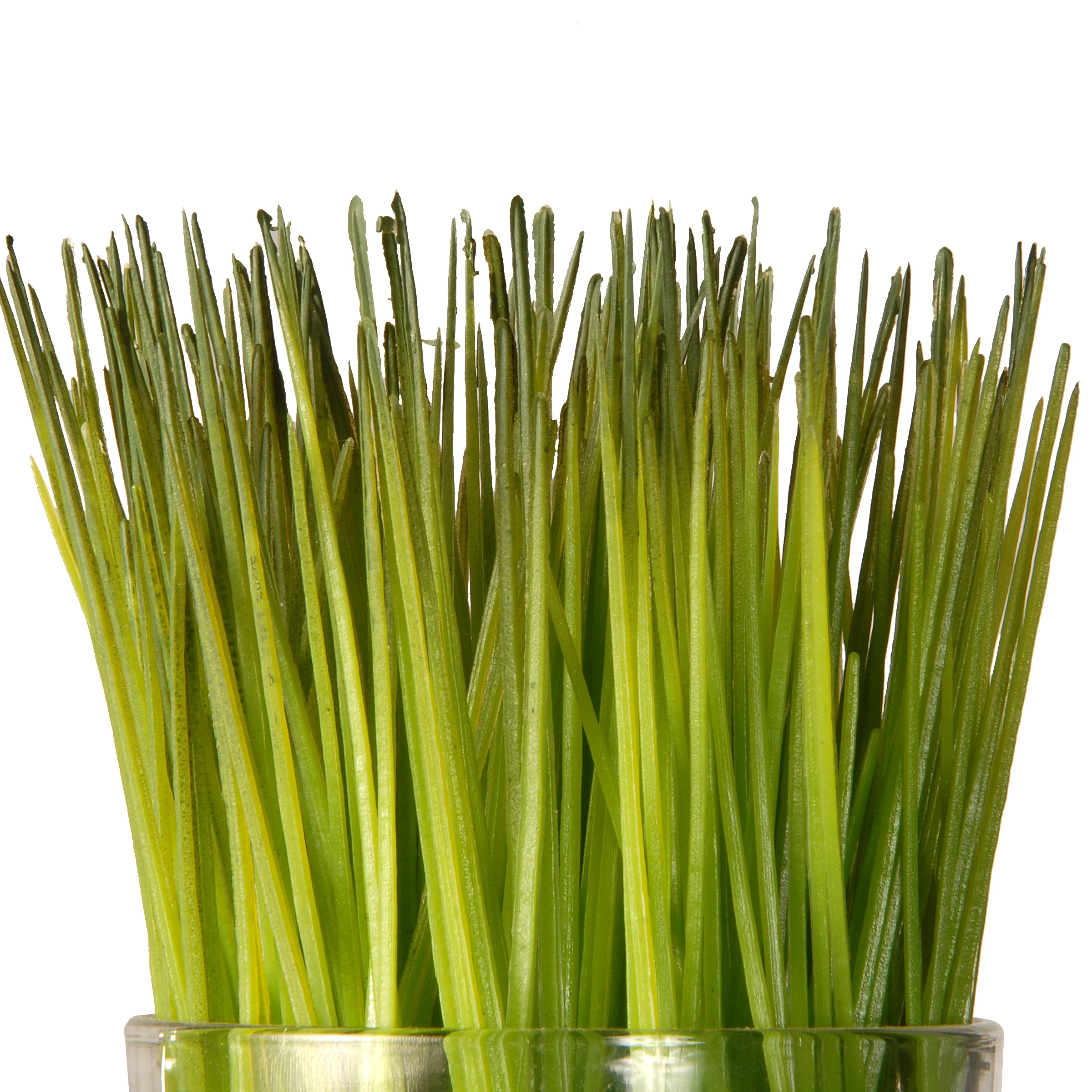 6 in. Artificial Plant Sprouts in Soil, Live, Laugh, Love Set in a Glass Cup, Set of 3 - Image 3