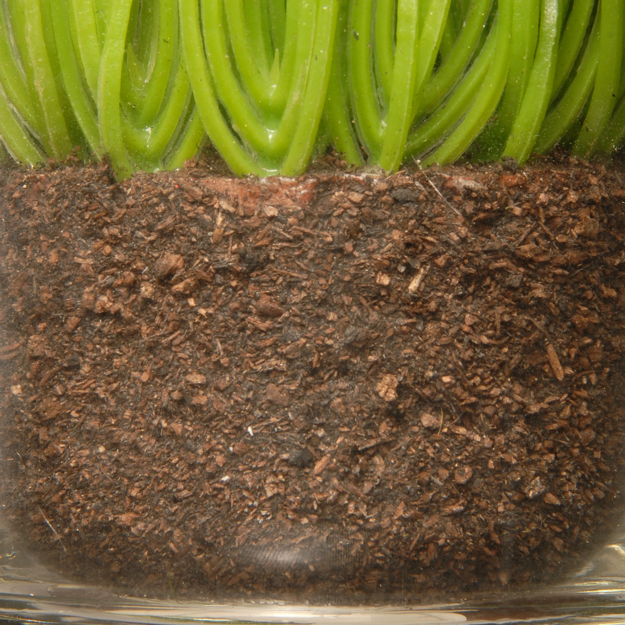 6 in. Artificial Plant Sprouts in Soil, Live, Laugh, Love Set in a Glass Cup, Set of 3 - Image 4