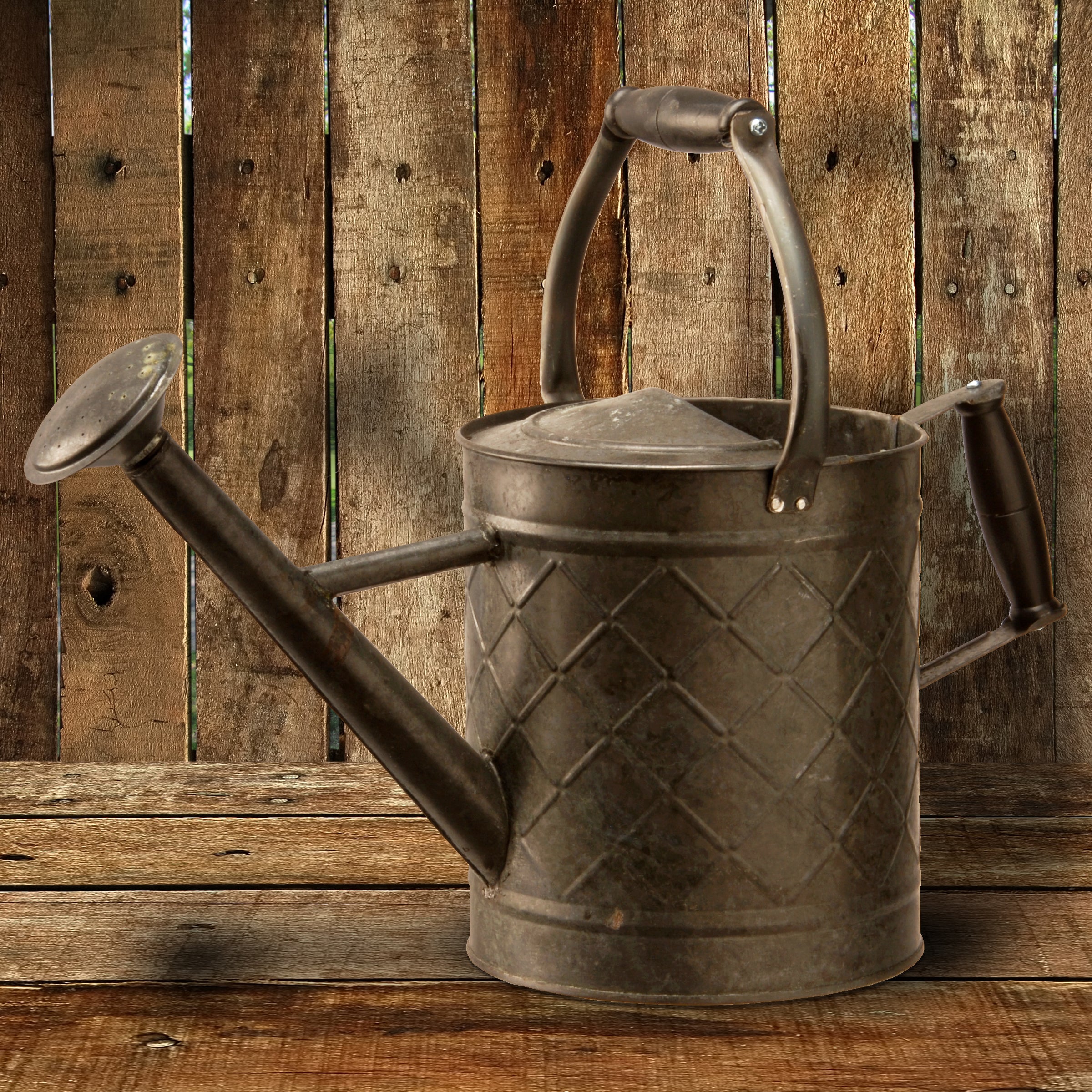 12 in. Spring Antique Black Metal Watering Can - Image 2