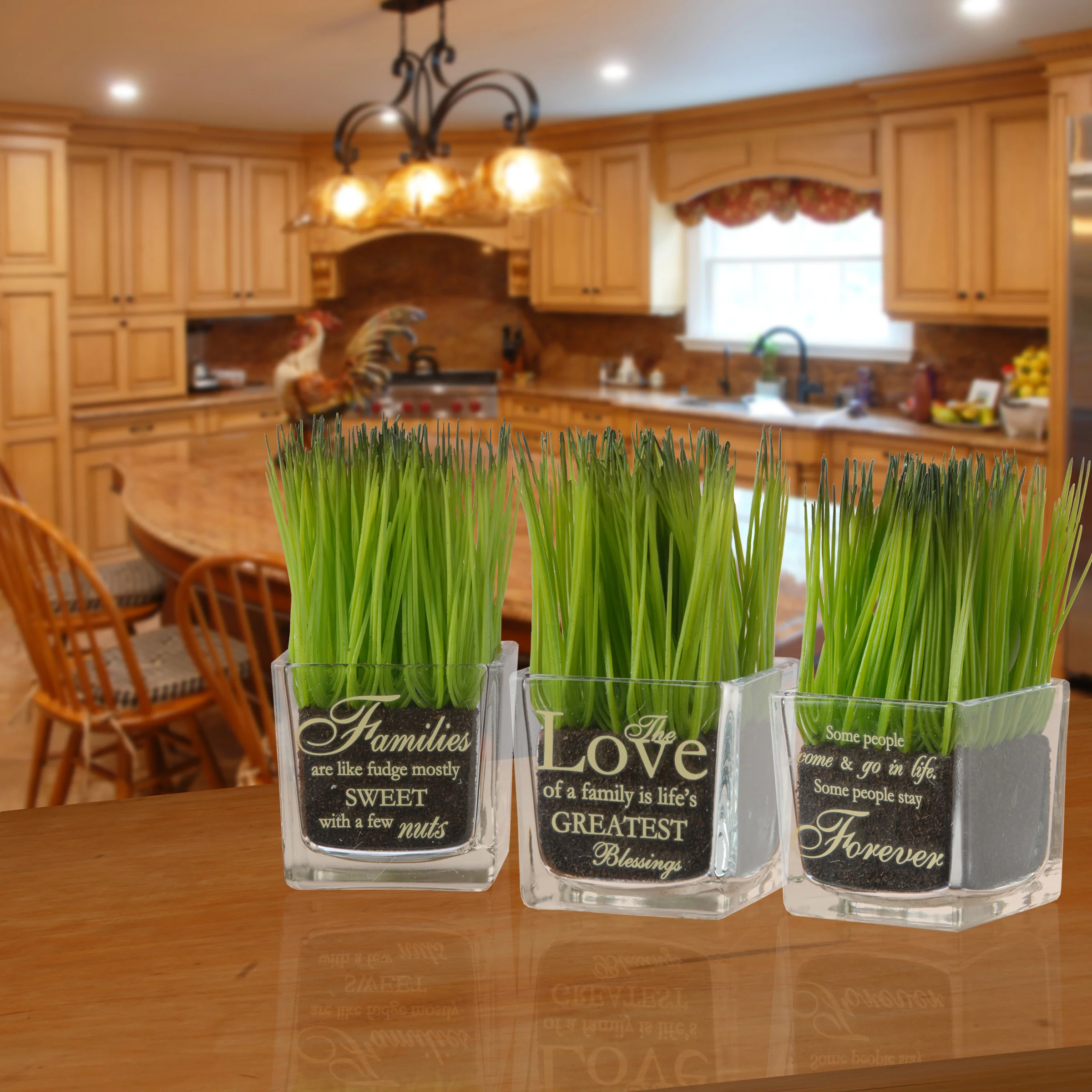 7 in. 3-Piece Potted Plant Set with Green Plant Sprouts, Square Glass Pot Base with Messages - Image 2