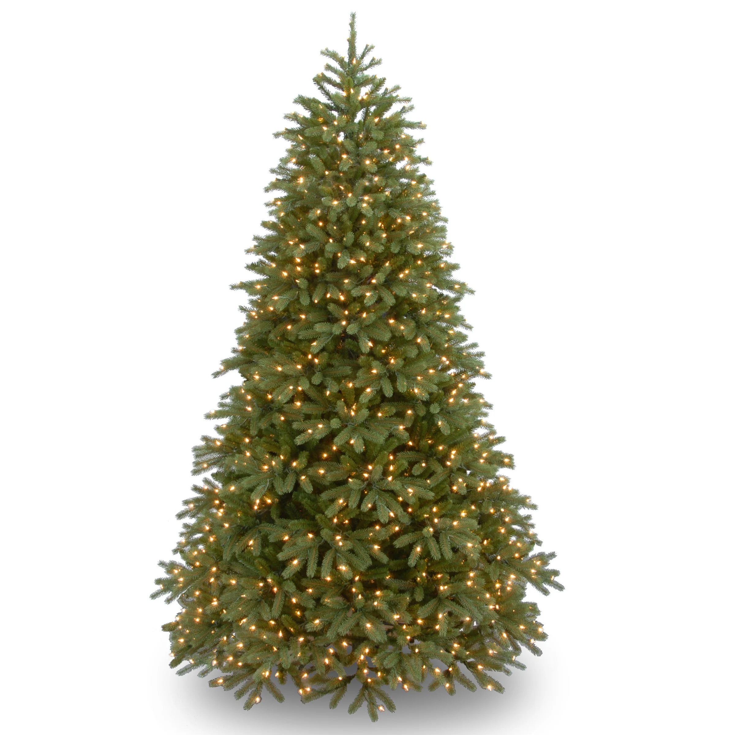 Jersey Fraser Fir Medium Trees - Image 5