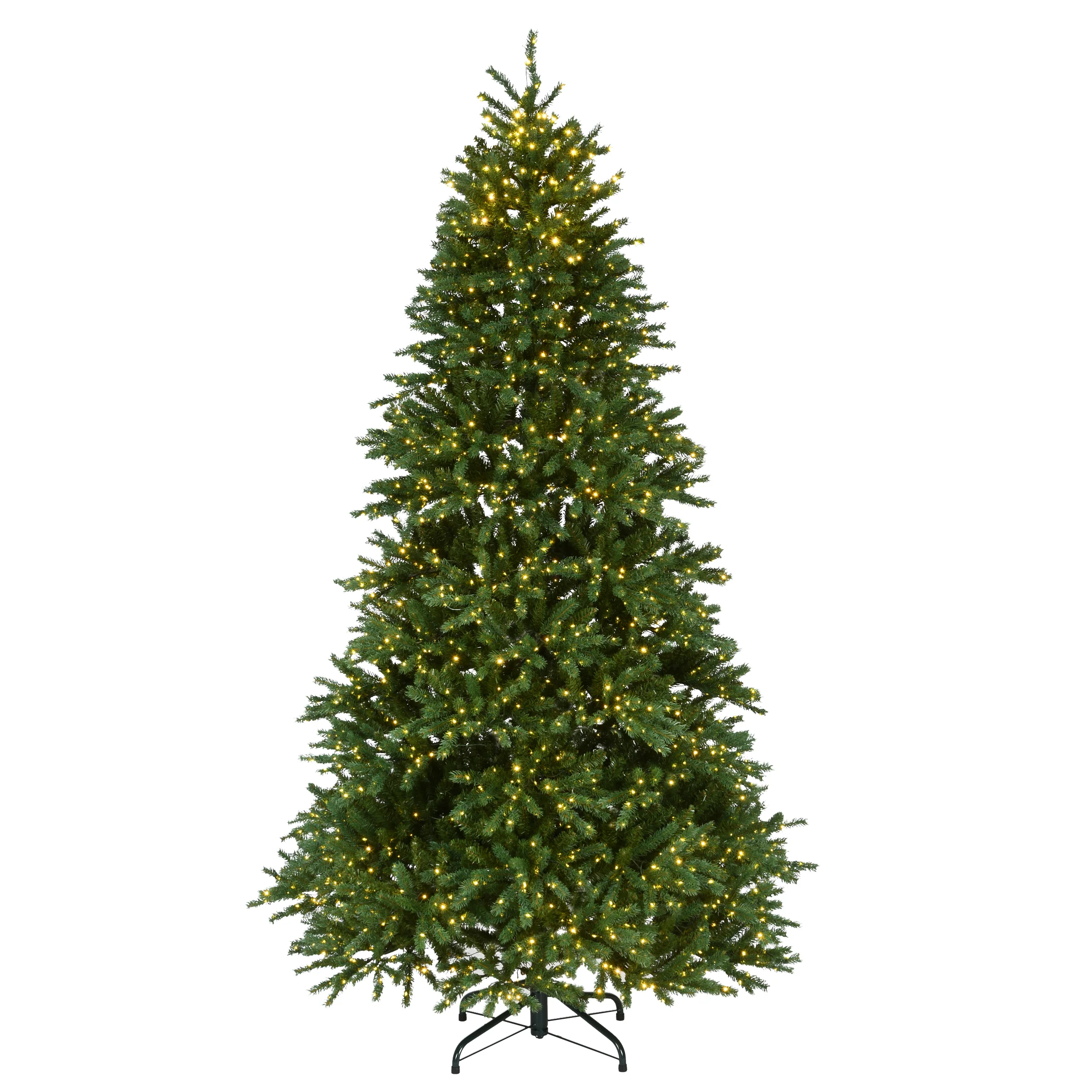 Jersey Fraser Fir Pencil Trees - Image 2