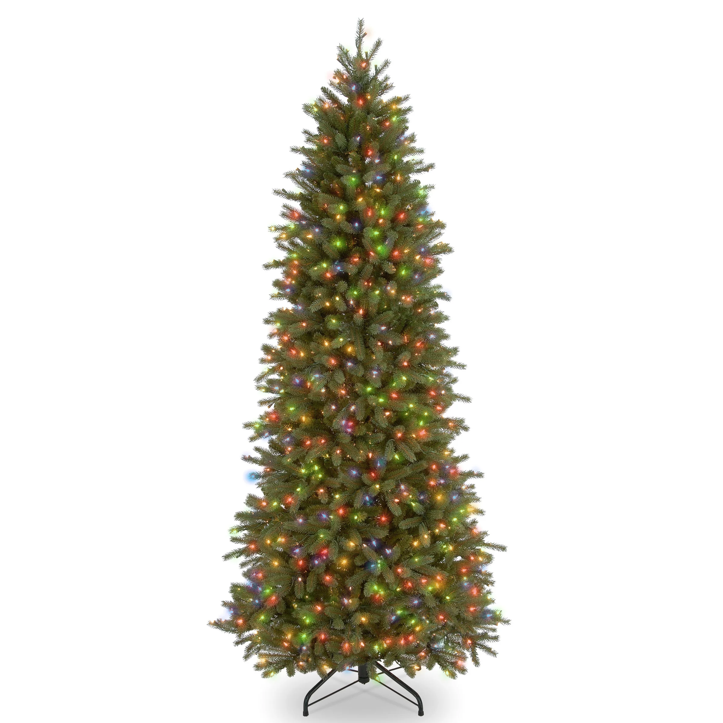 Jersey Fraser Fir Pencil Trees - Image 3