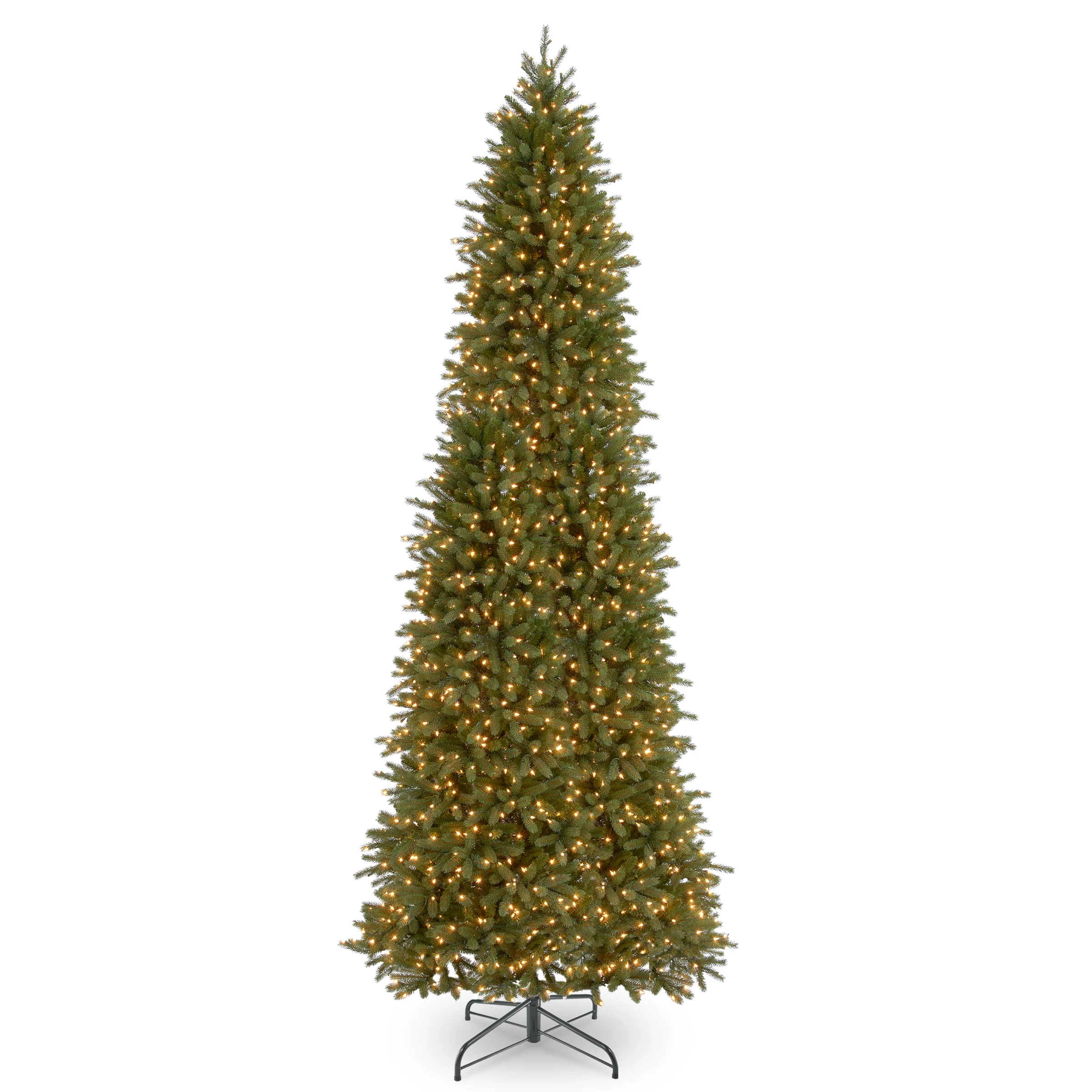 Jersey Fraser Fir Pencil Trees - Image 4