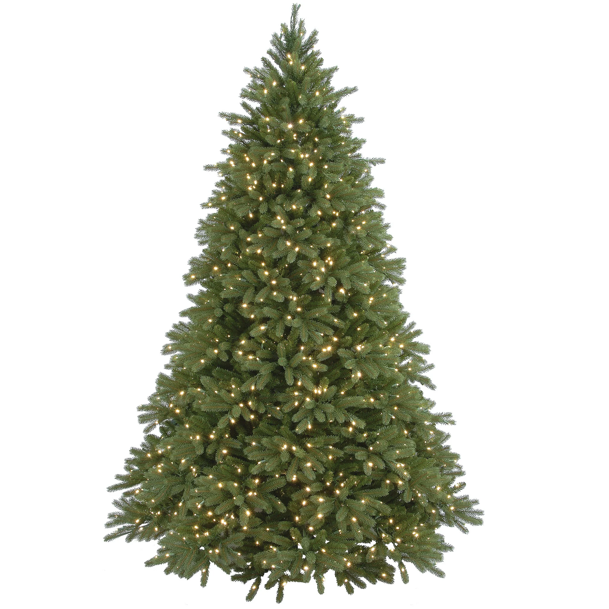 Jersey Fraser Fir Trees - Image 2