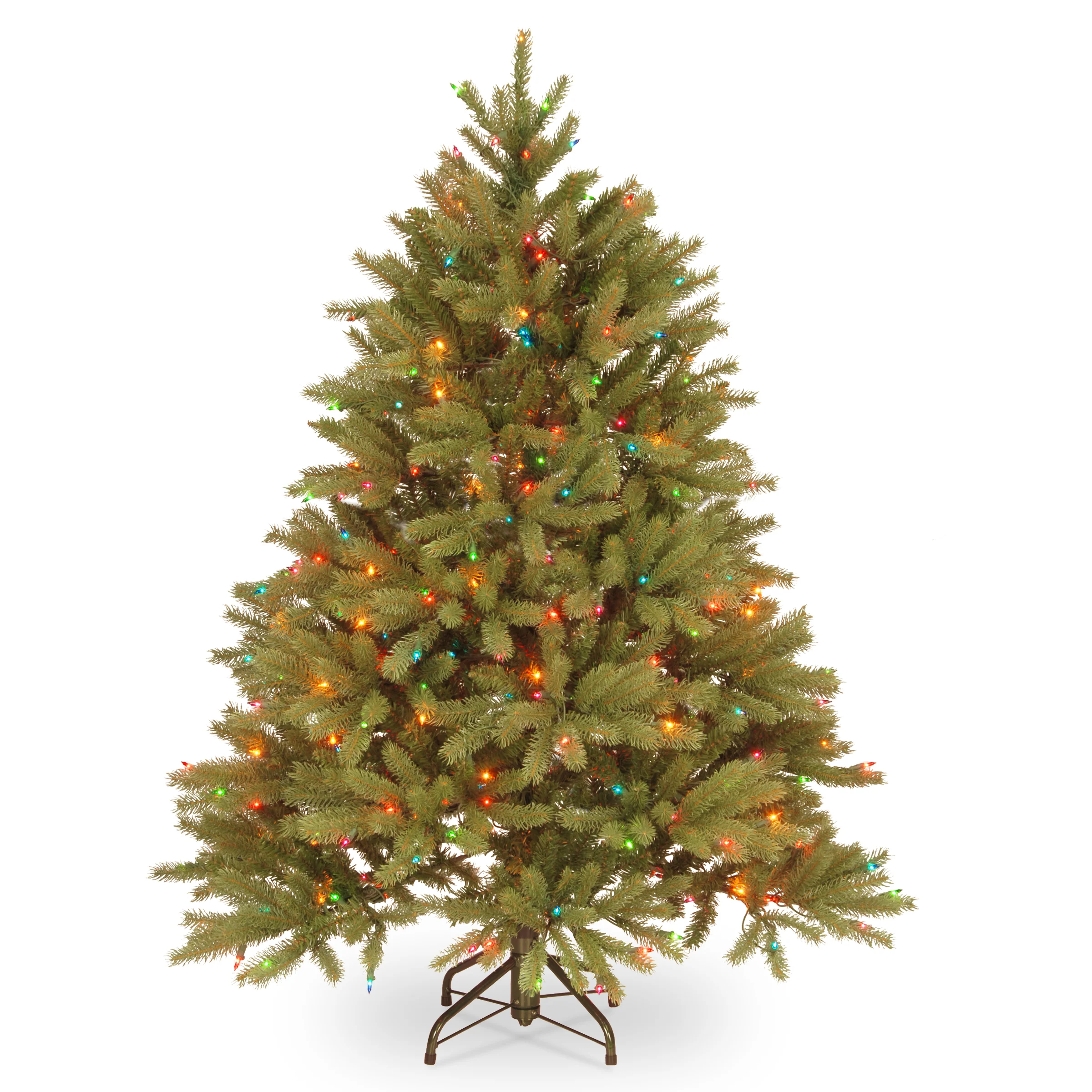 Jersey Fraser Fir Trees - Image 3