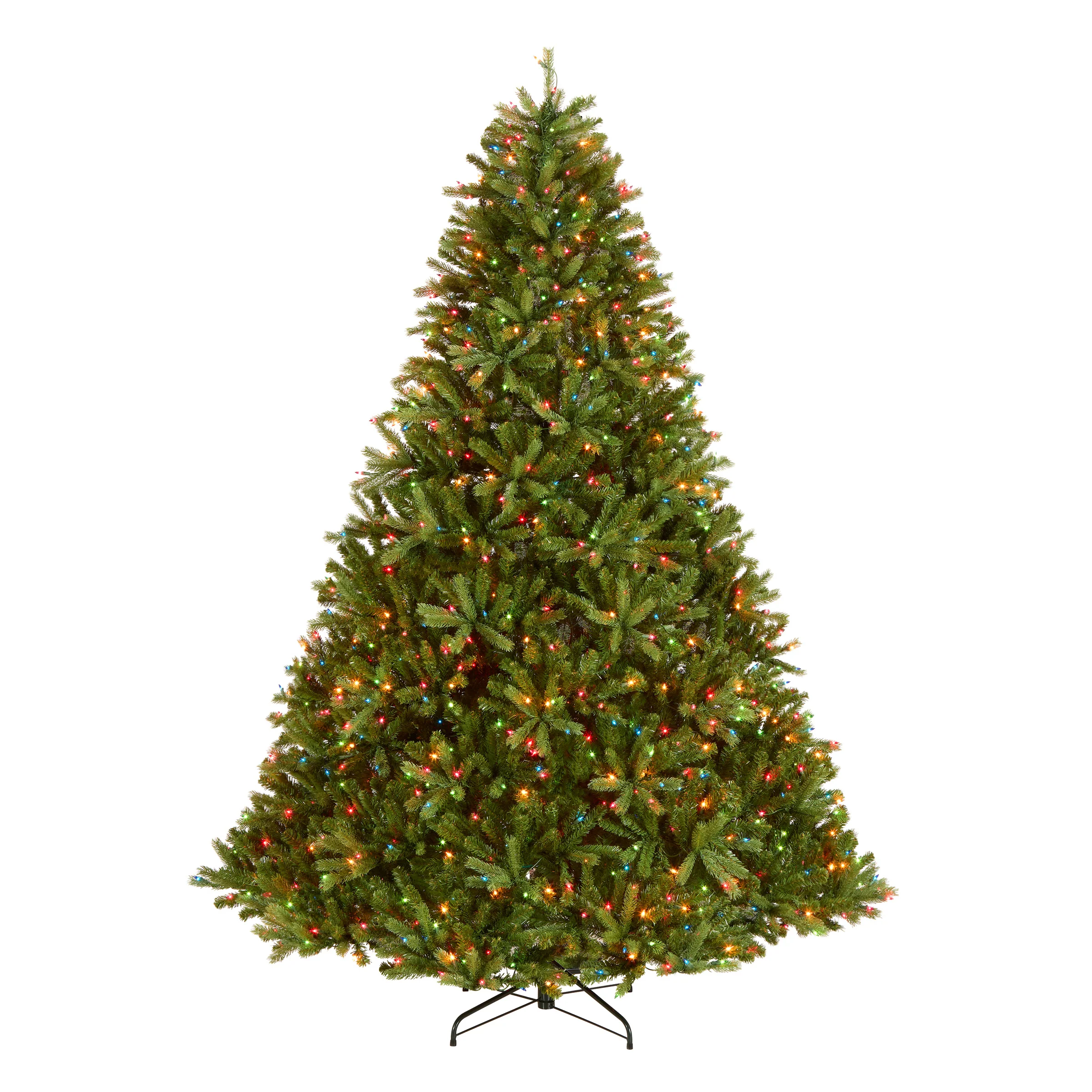Jersey Fraser Fir Trees - Image 5