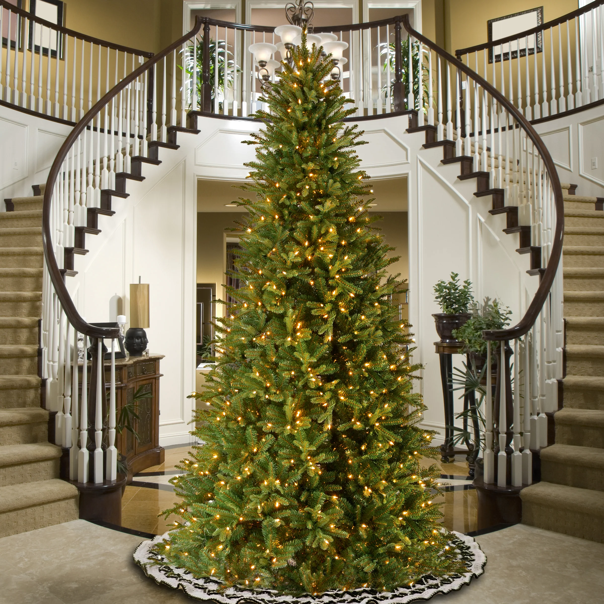 12 ft. Pre-Lit Tiffany Fir Slim Tree with Clear Lights, Plug-In - Image 3