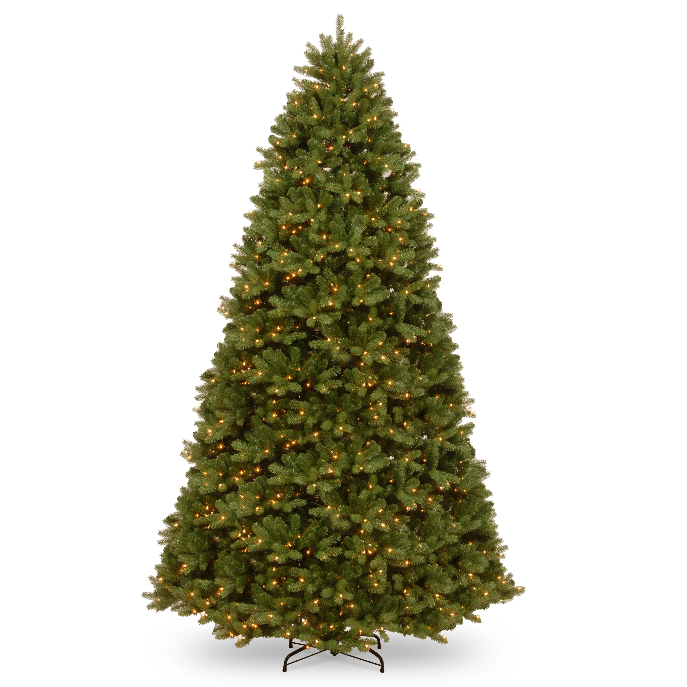 Newberry Spurce Trees - Image 10