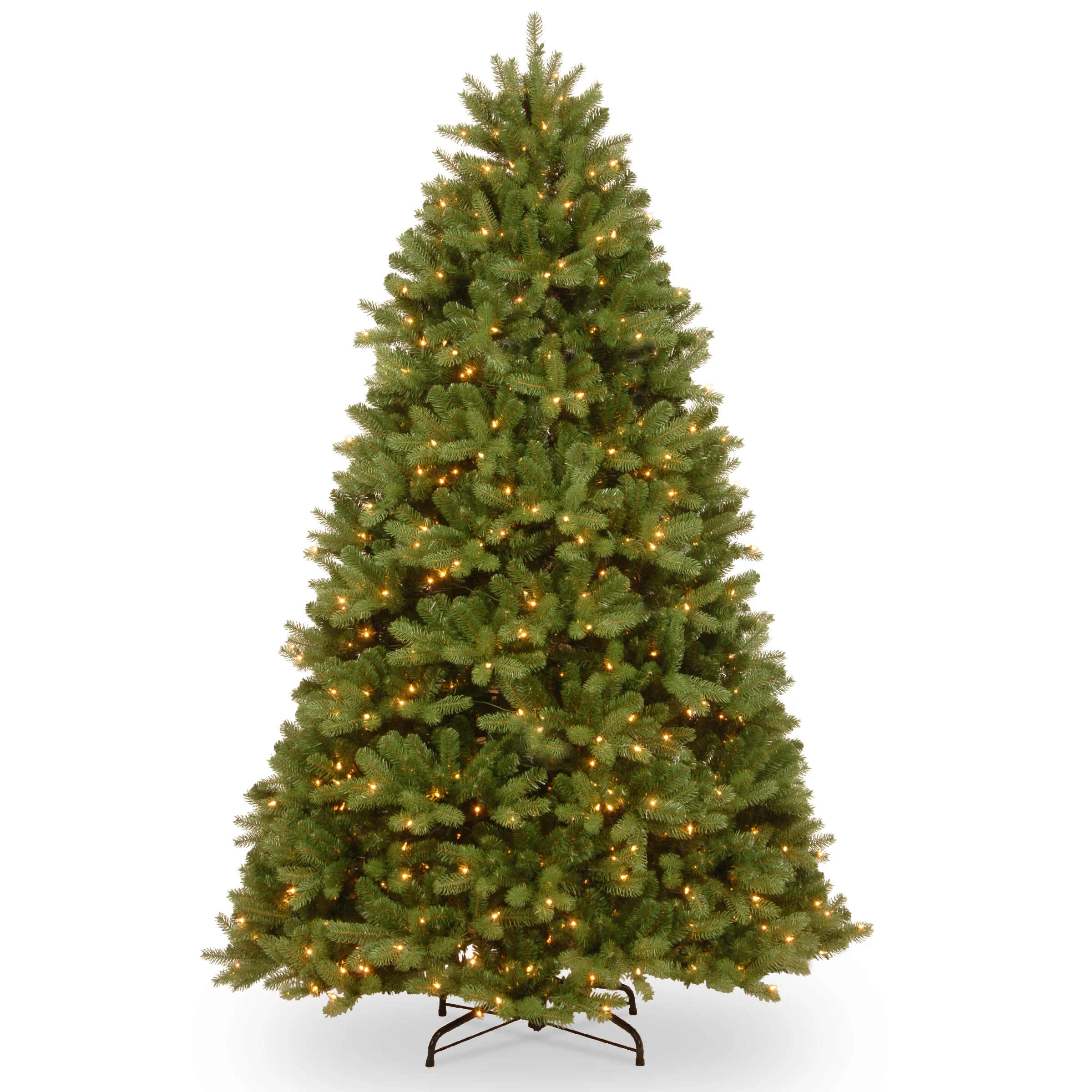 Newberry Spurce Trees - Image 2