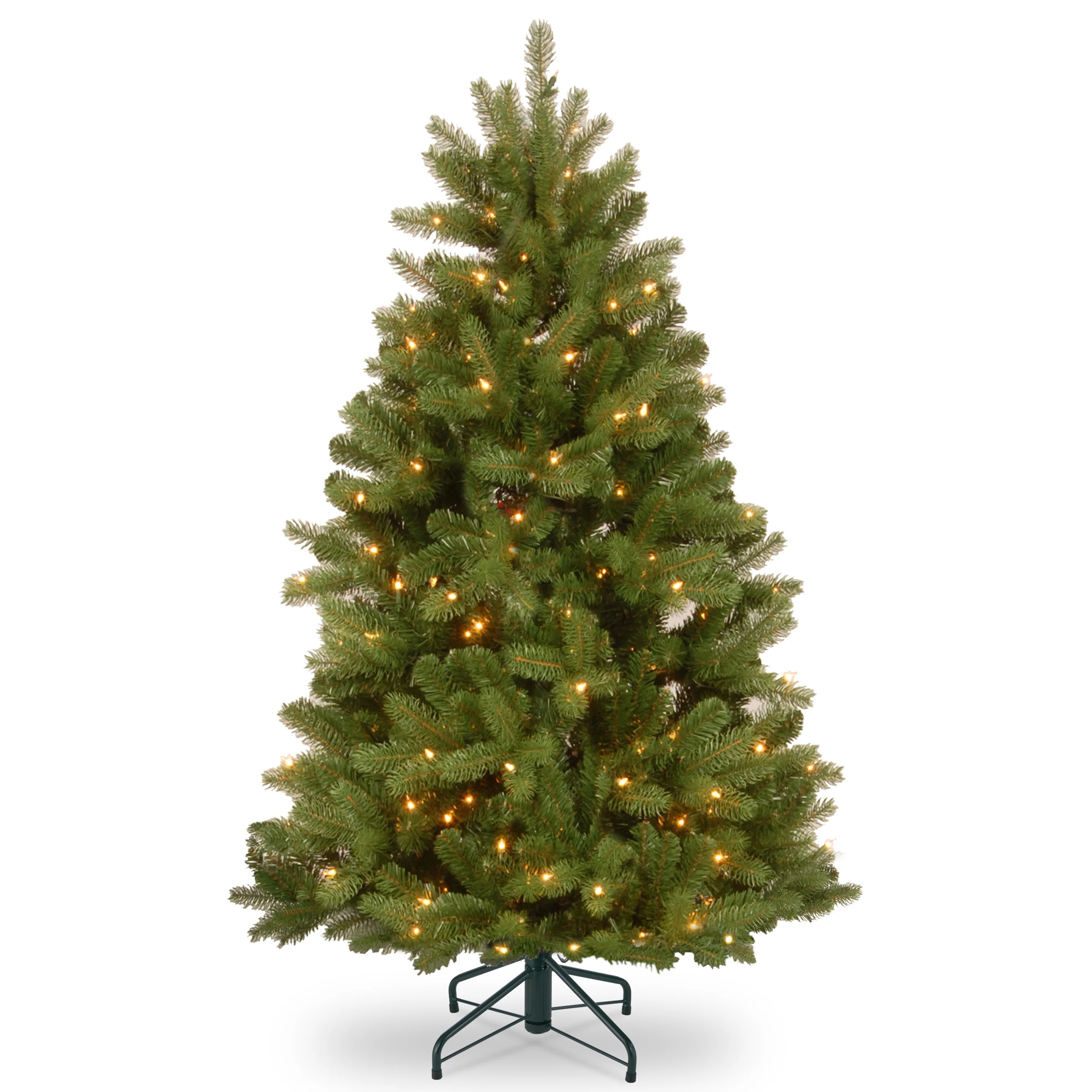 Newberry Spurce Trees - Image 3