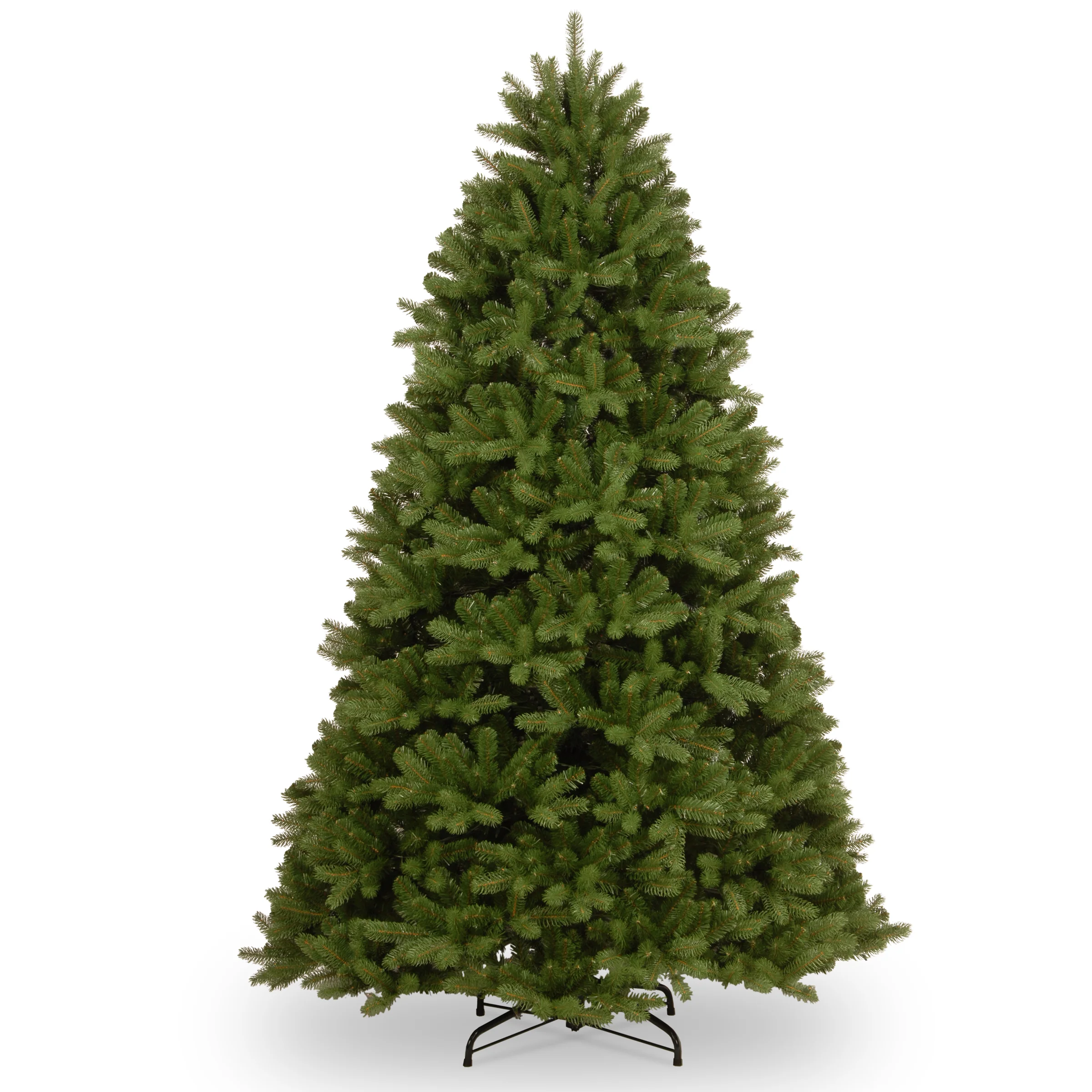 Newberry Spurce Trees - Image 4