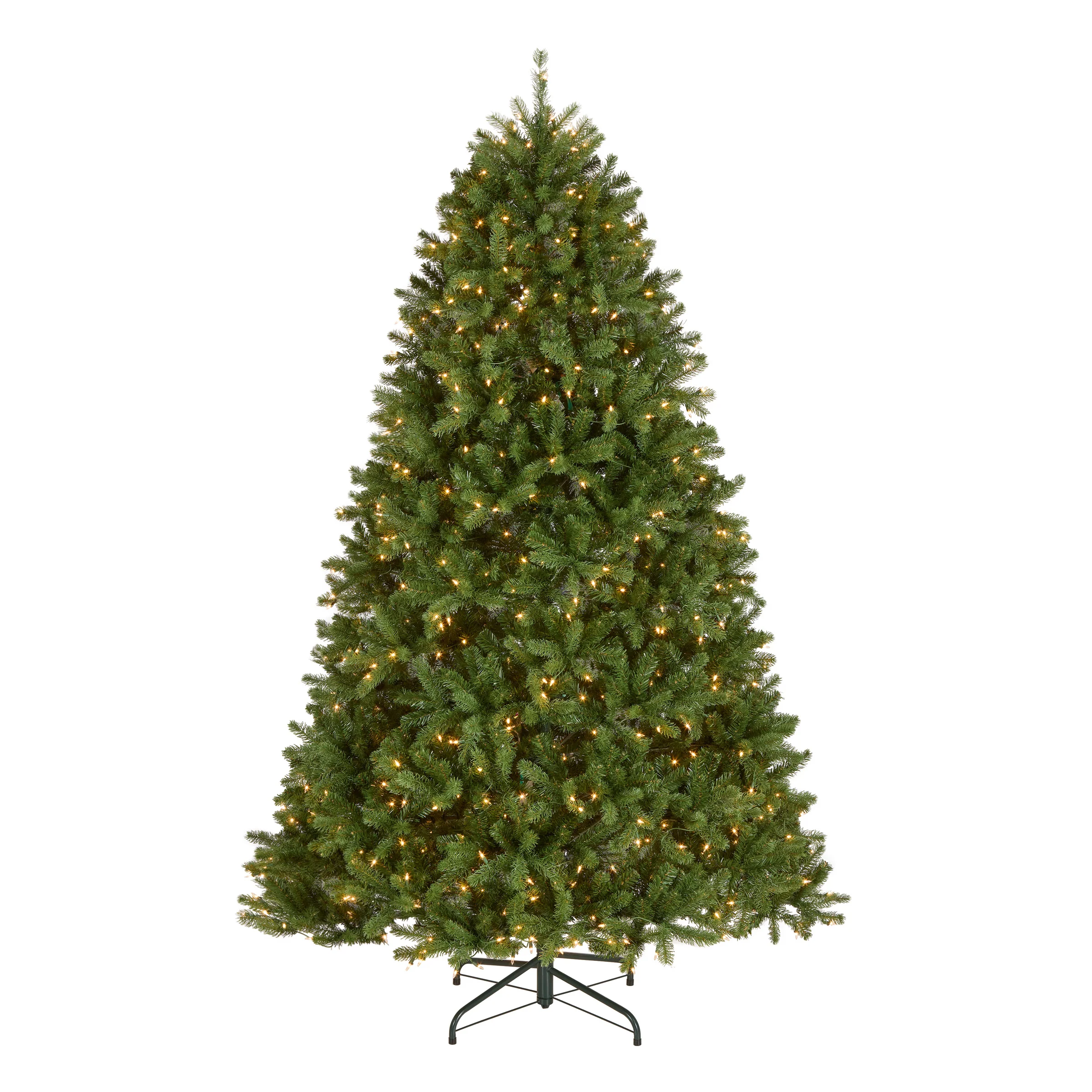Newberry Spurce Trees - Image 6