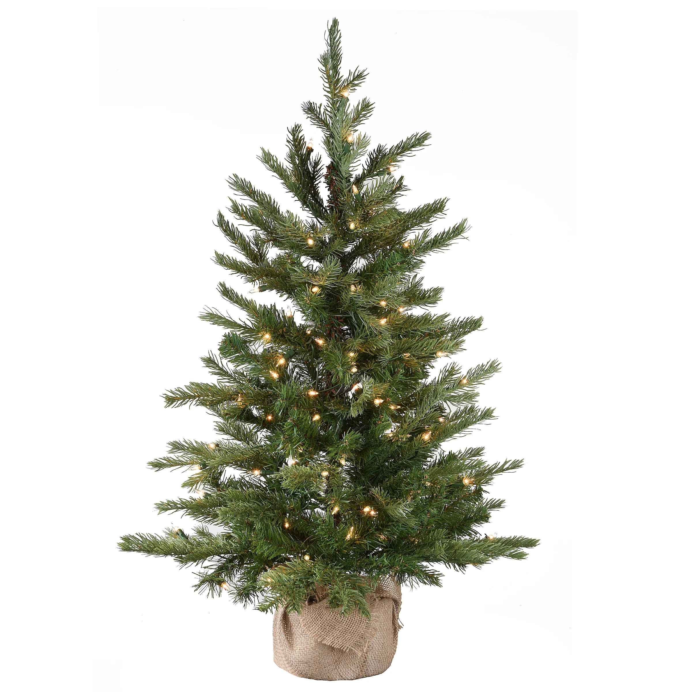 Nordic Spruce Trees - Image 2