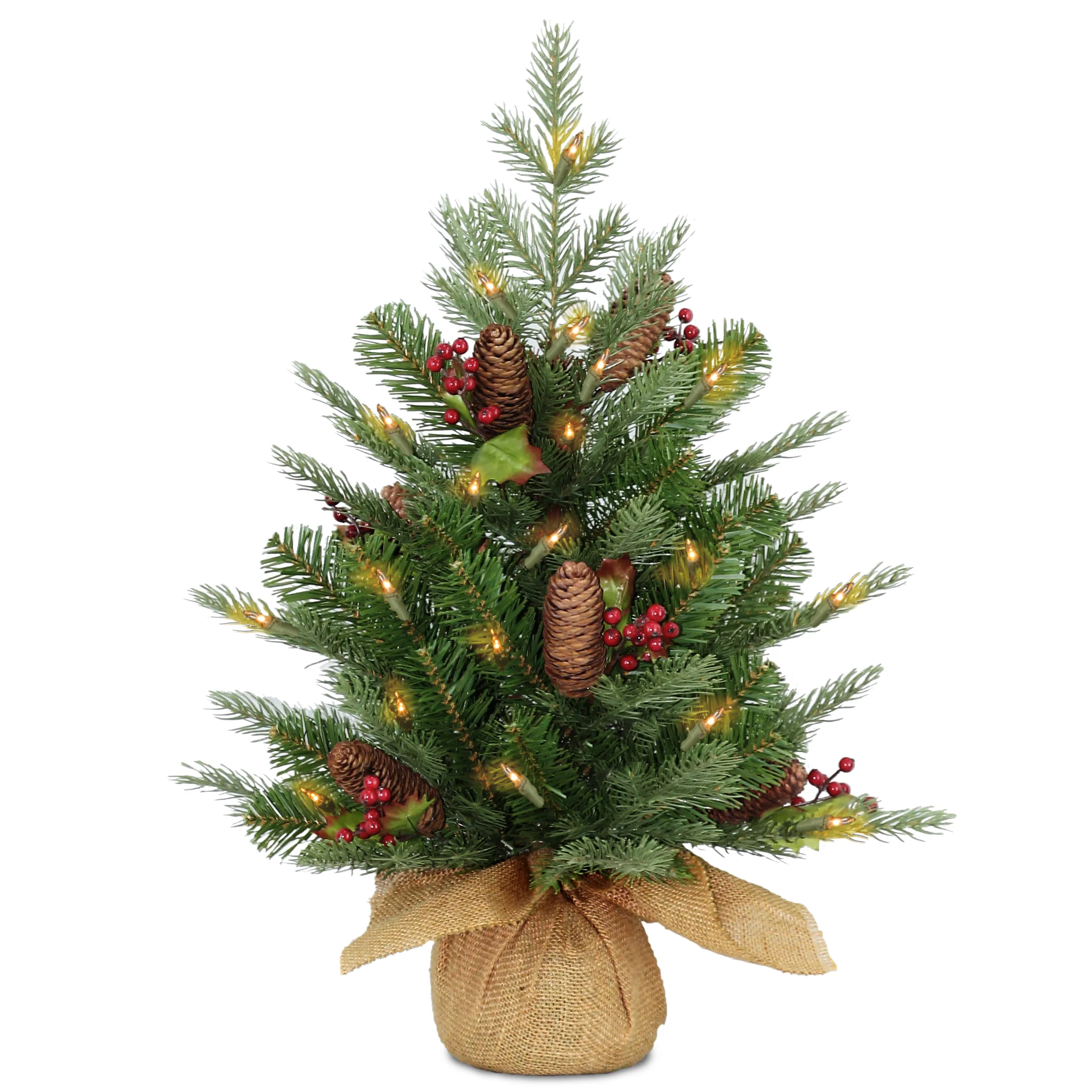Nordic Spruce Trees - Image 3
