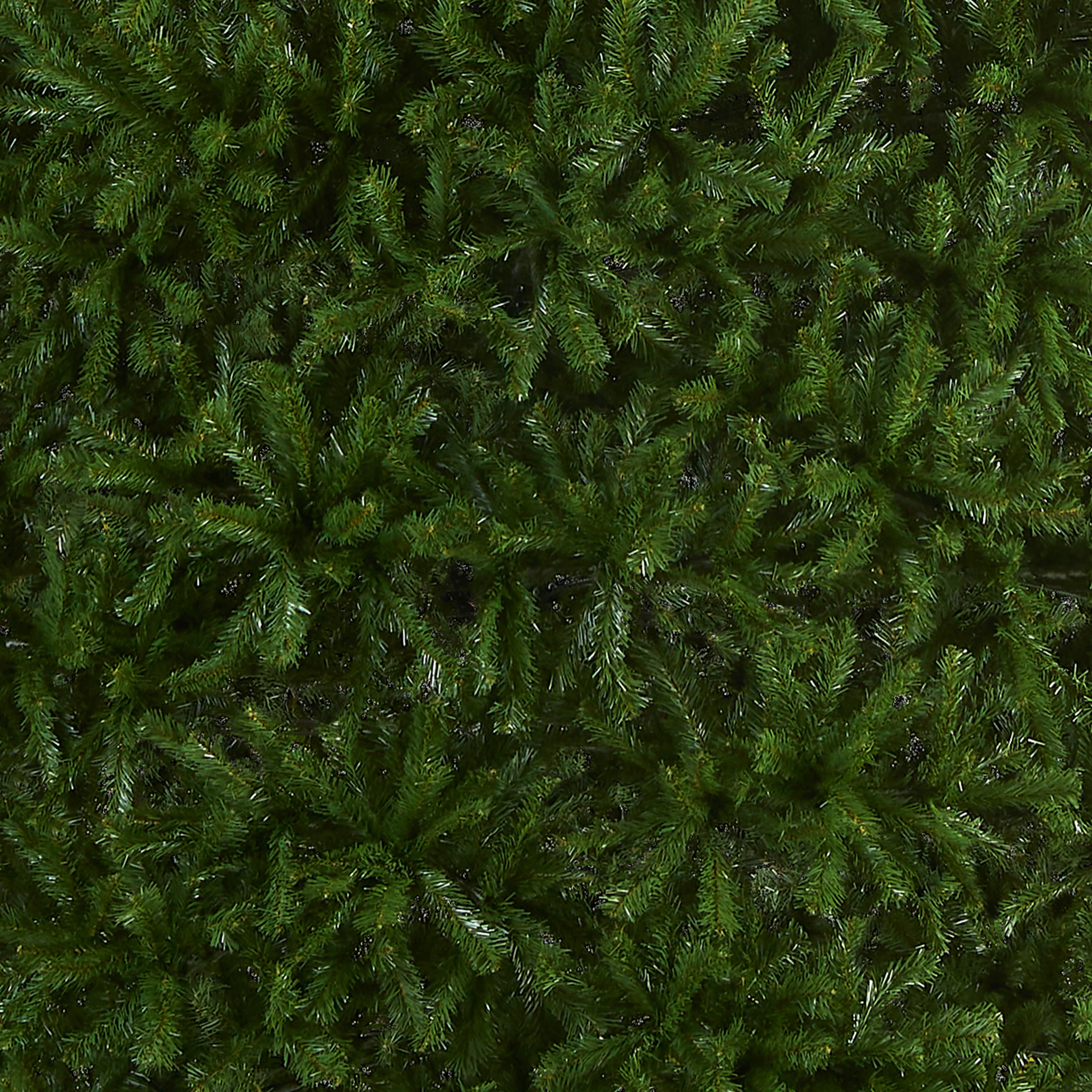 16 ft. North Valley Spruce Tree - Image 3