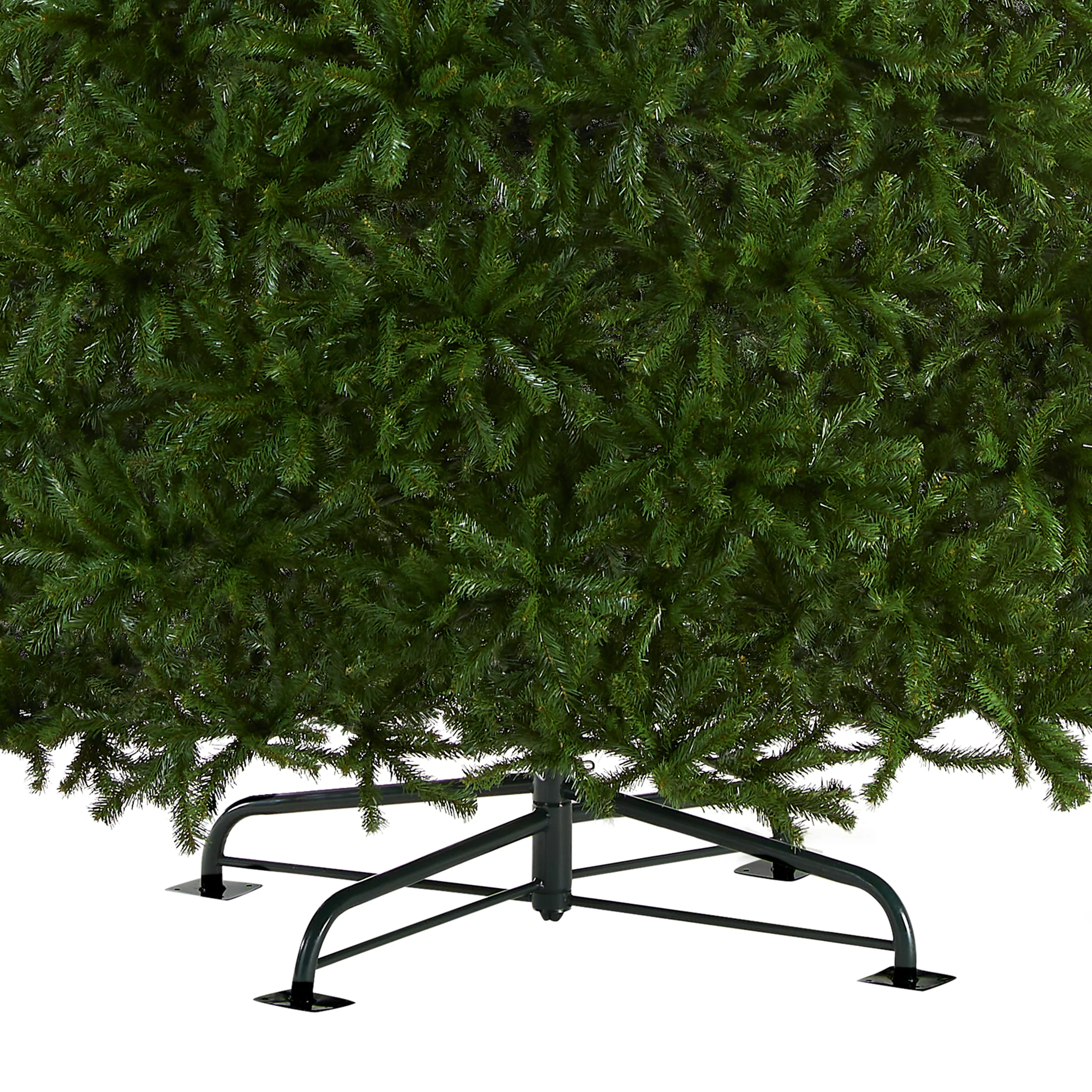 16 ft. North Valley Spruce Tree - Image 4