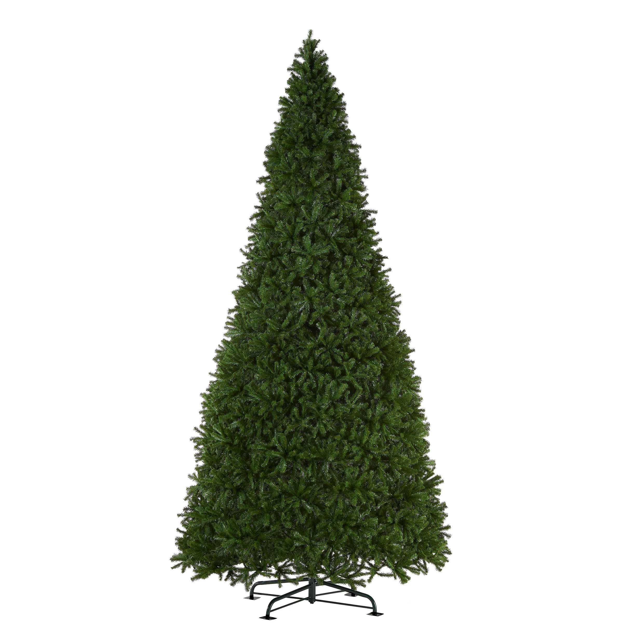 16 ft. North Valley Spruce Tree - Image 5