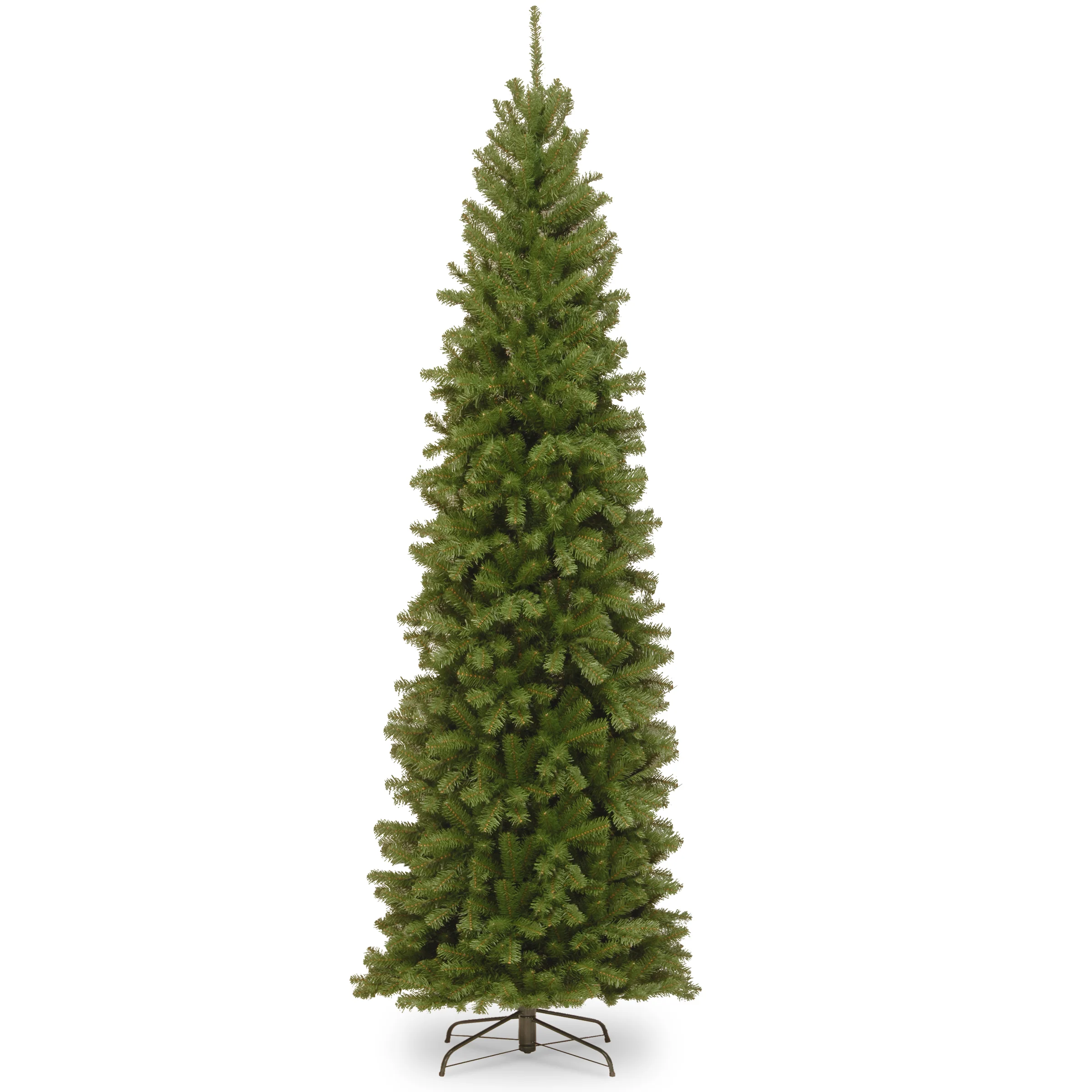 North Valley Spruce Pencil Slim Trees - Image 11