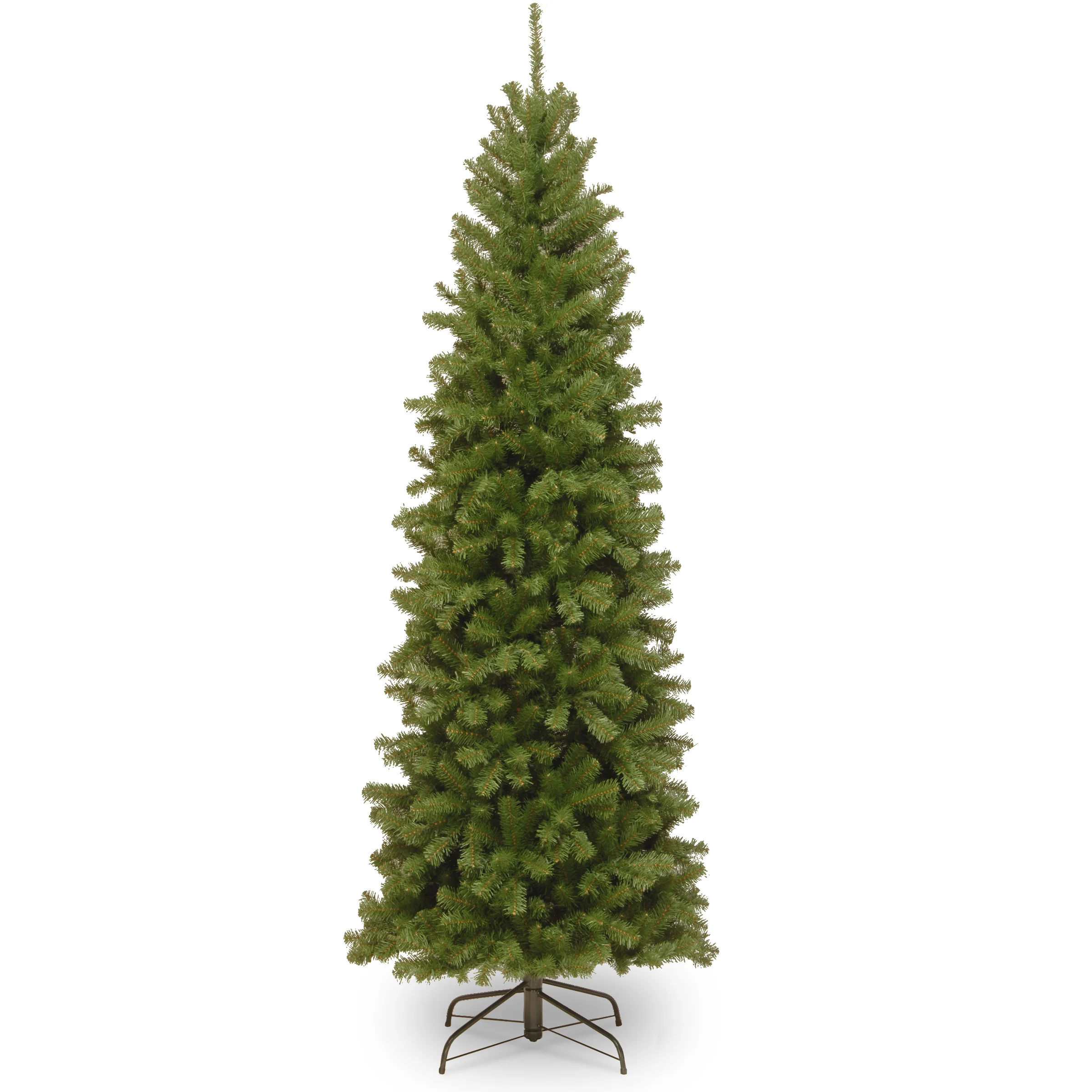 North Valley Spruce Pencil Slim Trees - Image 9