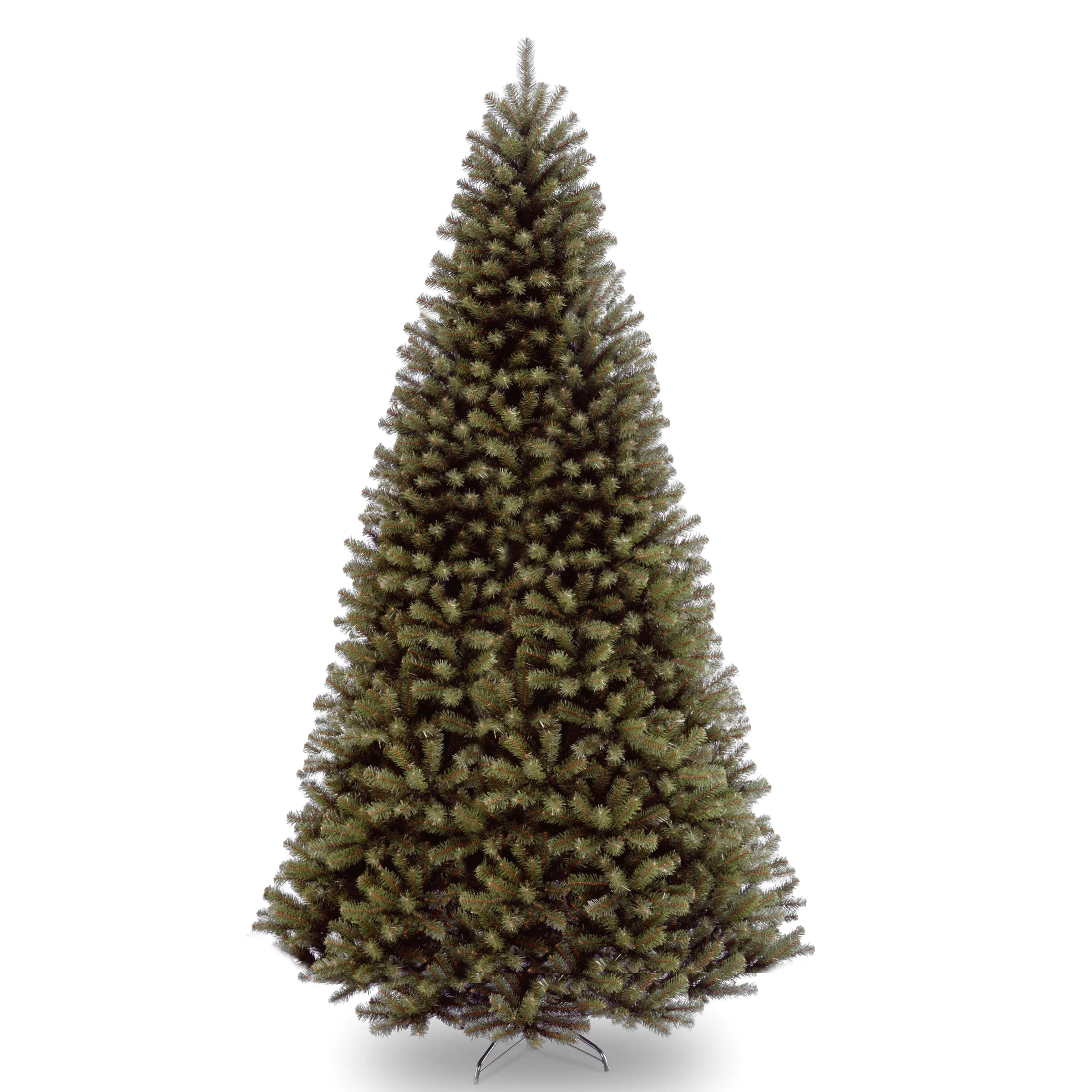 North Valley Spruce Trees - Image 15
