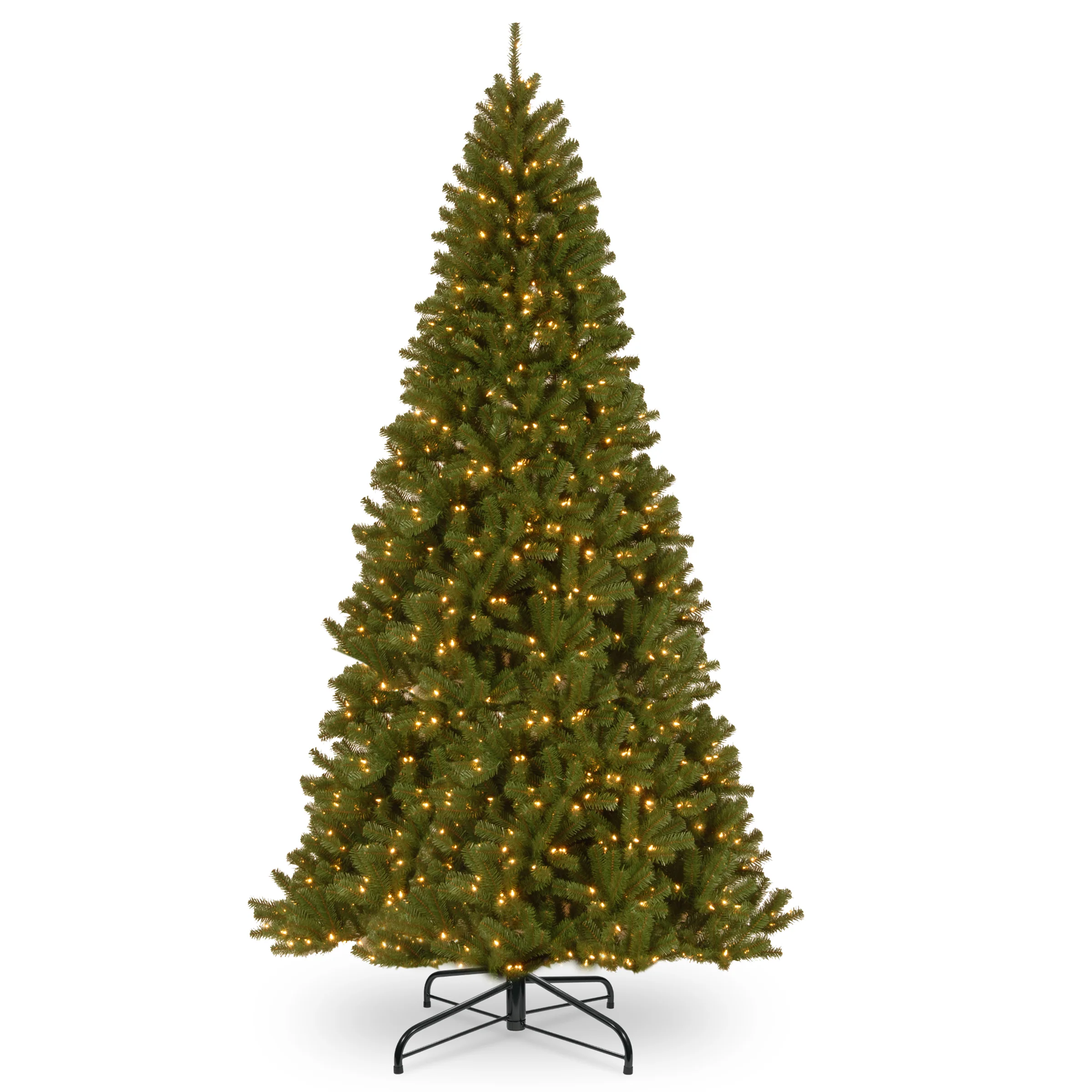 North Valley Spruce Trees - Image 16