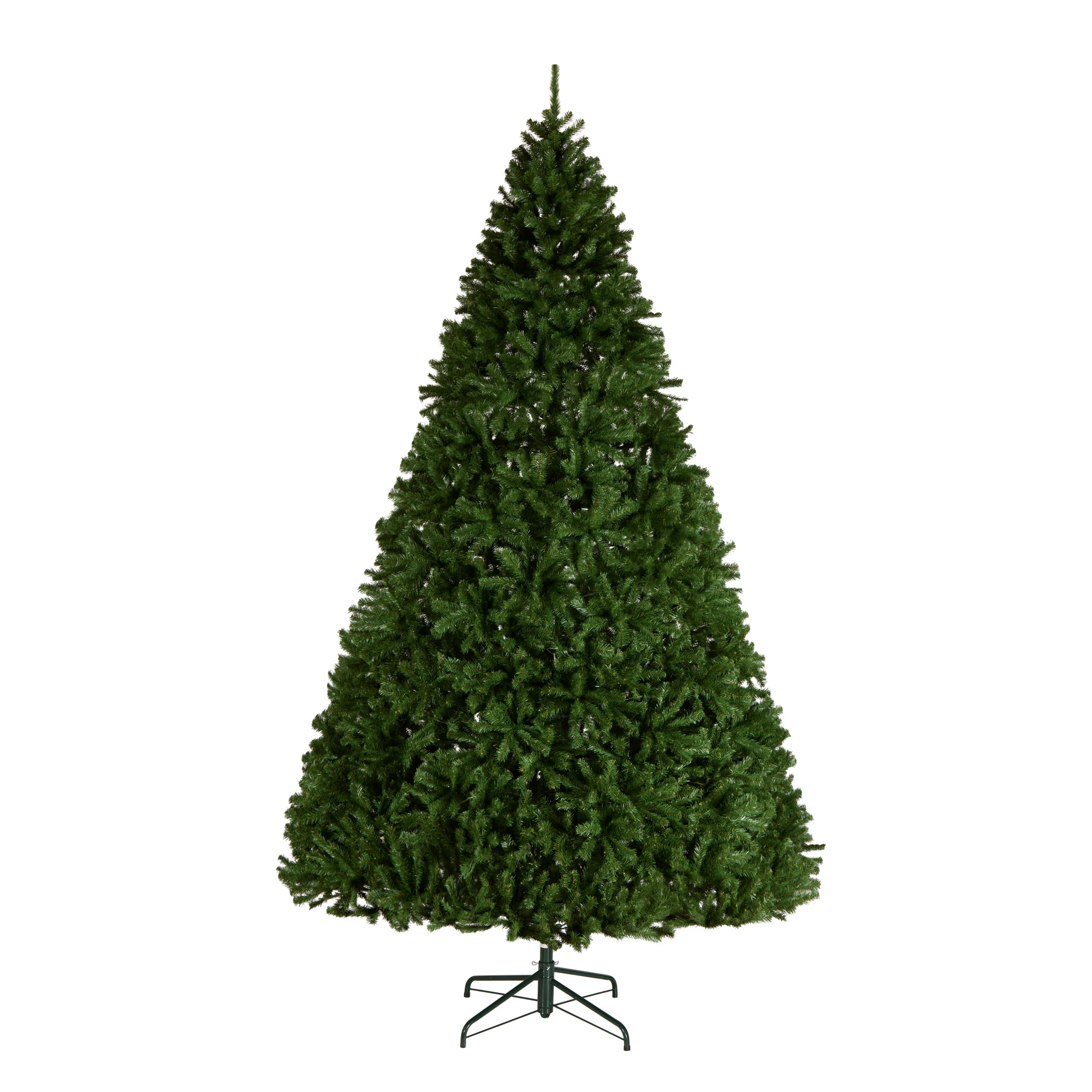 North Valley Spruce Trees - Image 17