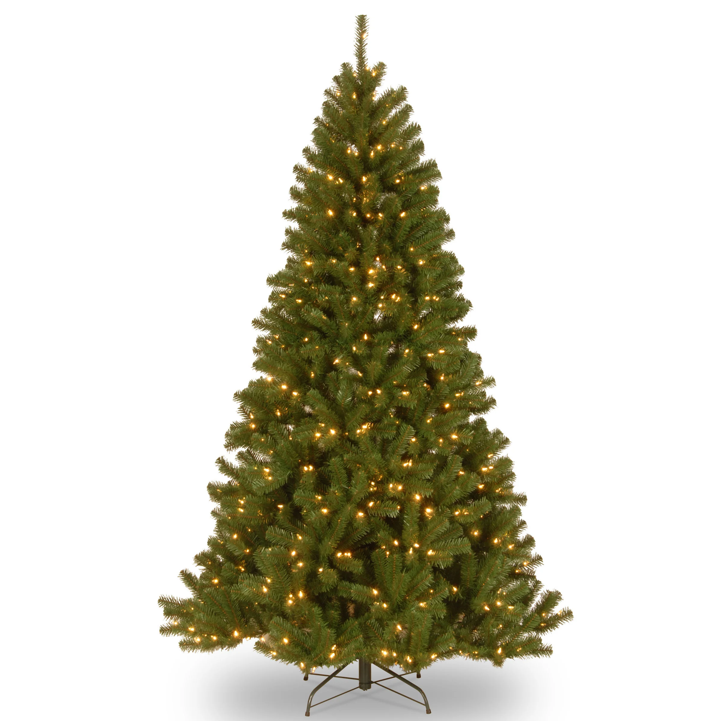 North Valley Spruce Trees - Image 18